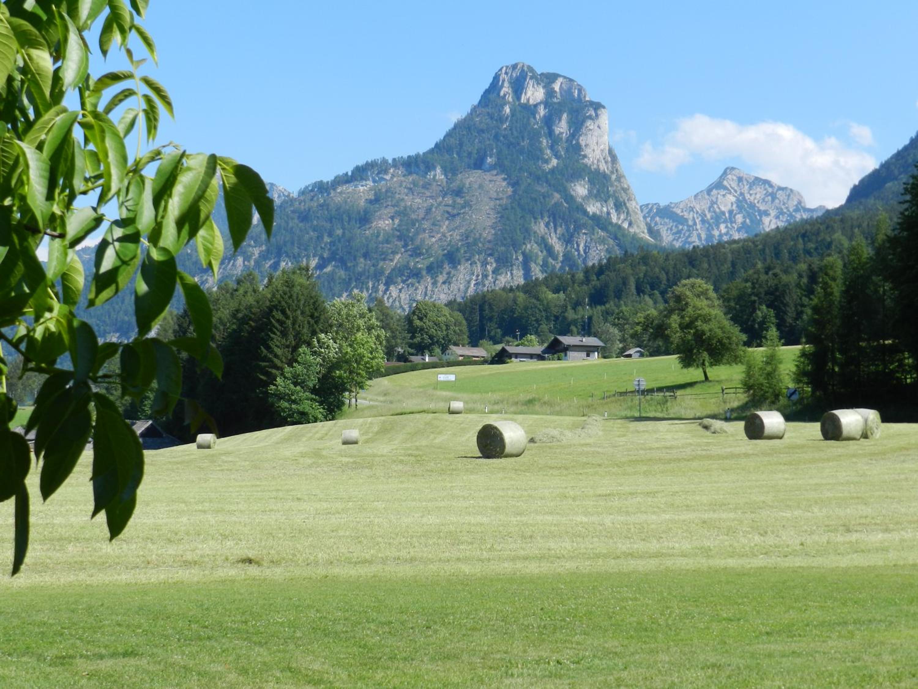 Gasthof Wiesenhof