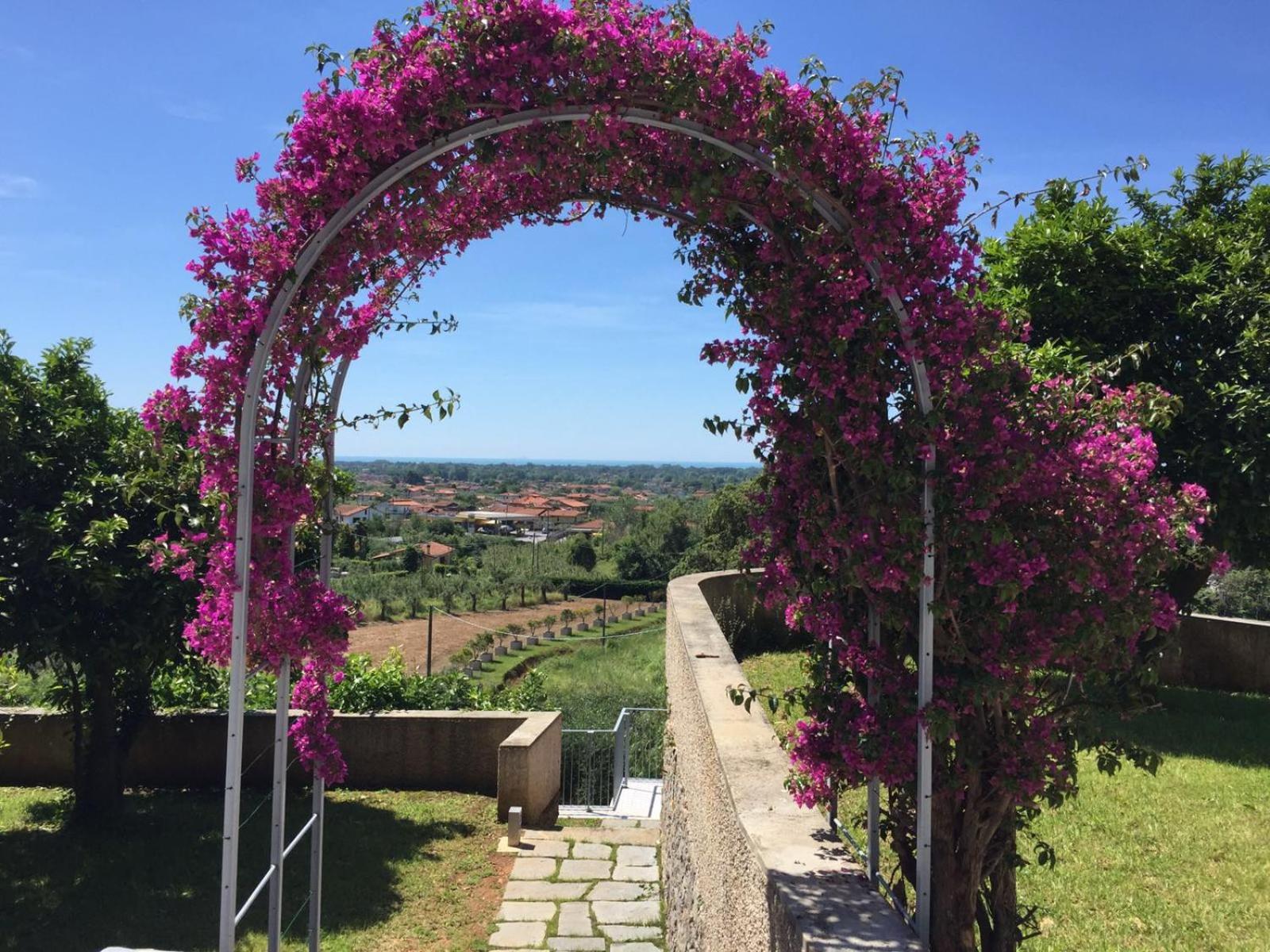 Relais Montepepe Winery & Spa