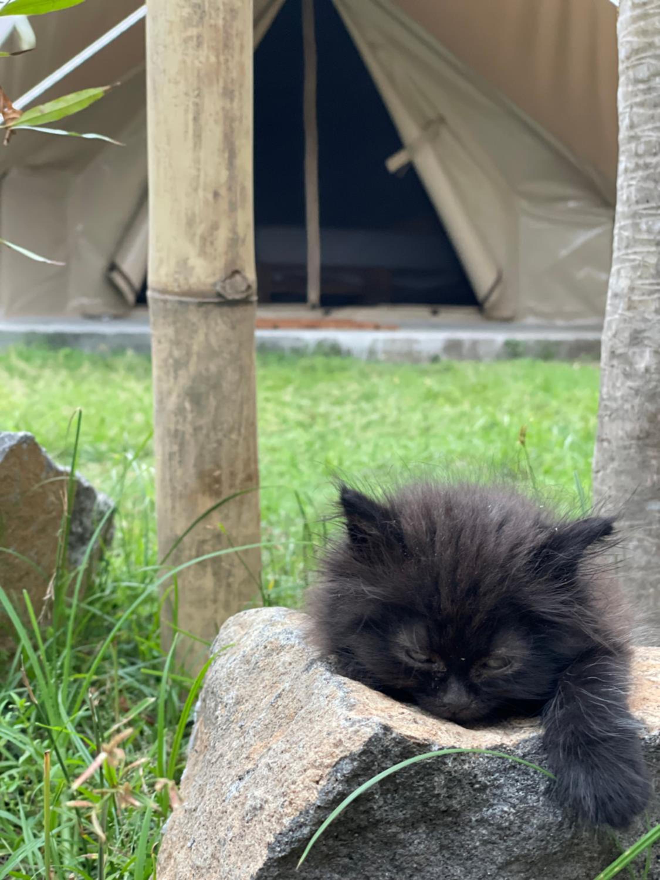 Ubuntu Glamping - Adult Campers Only