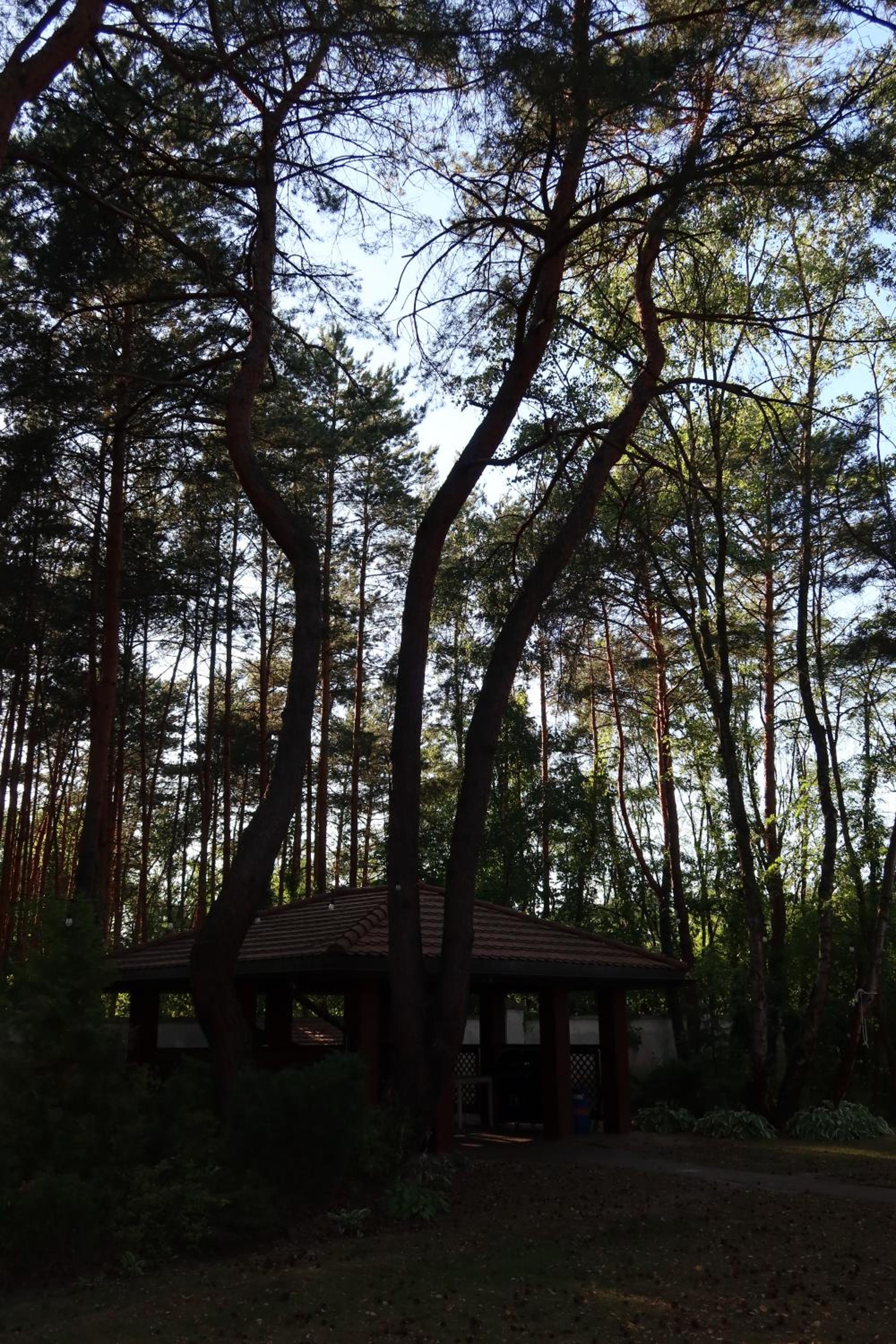 Willa Las&Luksus Jacuzzi, Sauna i Relaks pod Warszawą