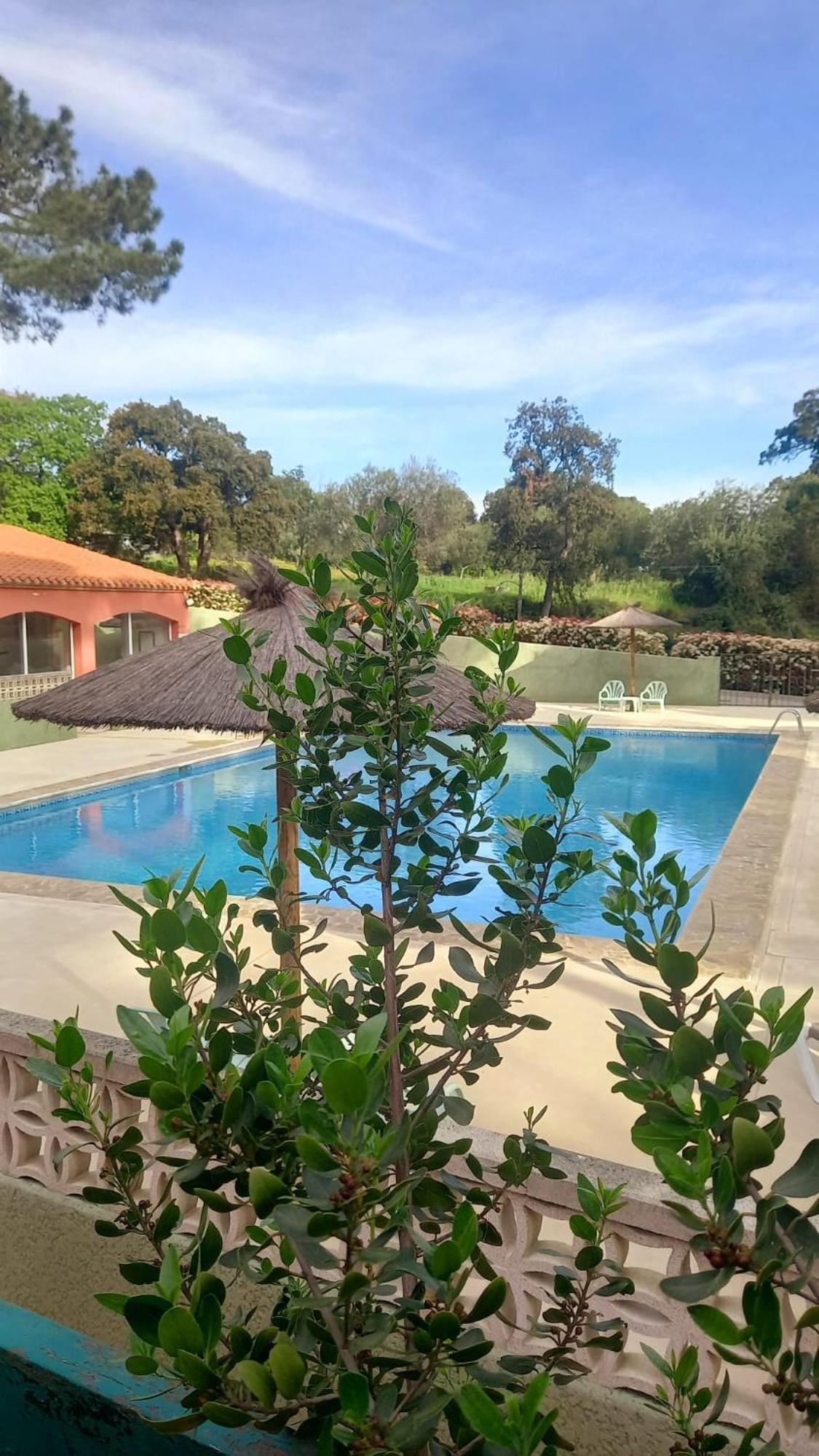 Domaine Des Mimosas, photo 15