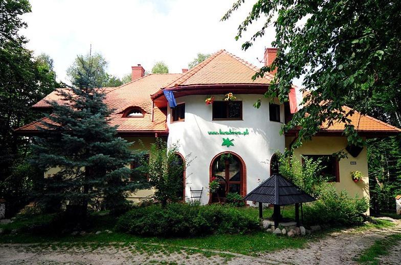 Photo 49