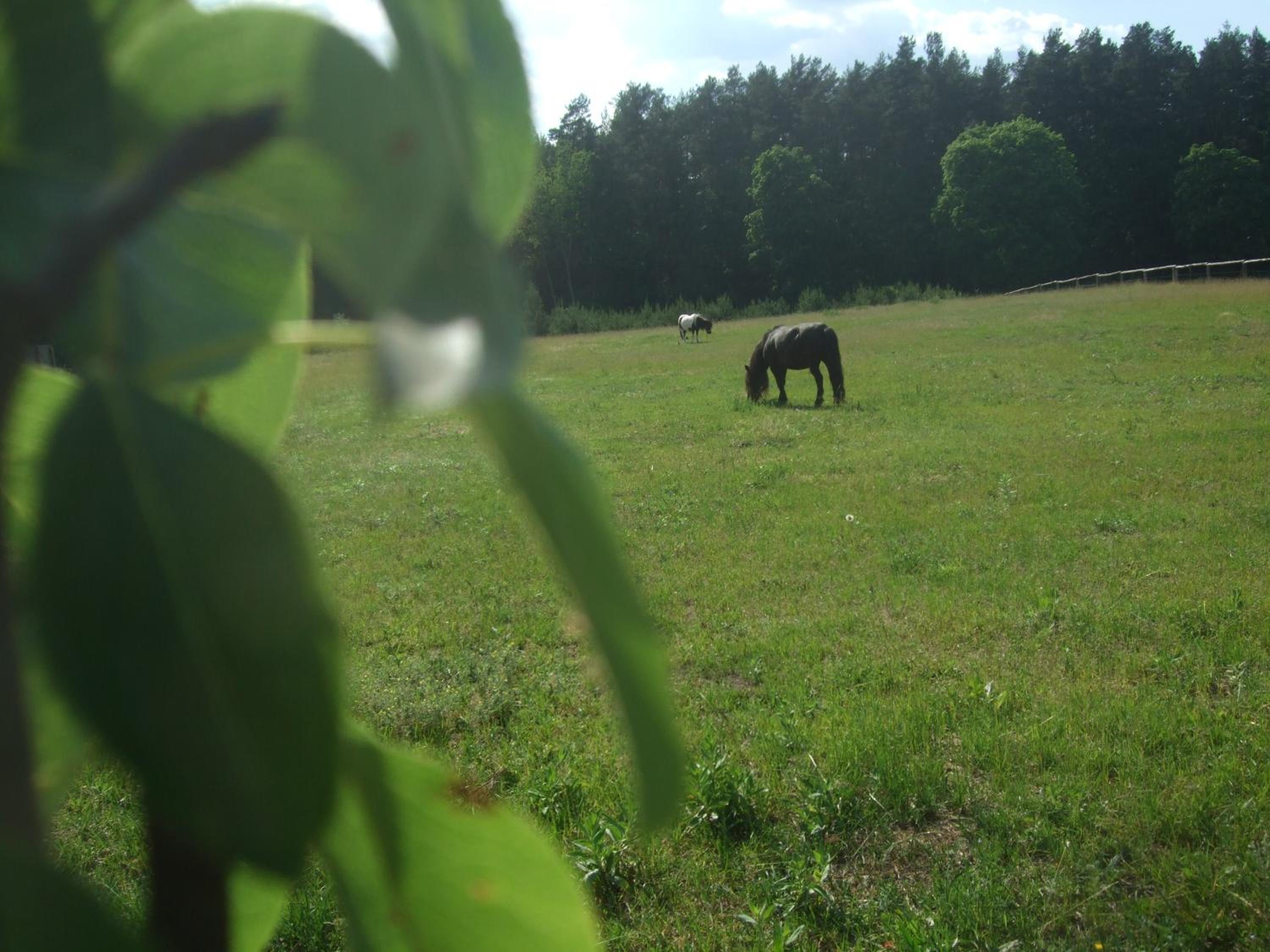 Photo 26