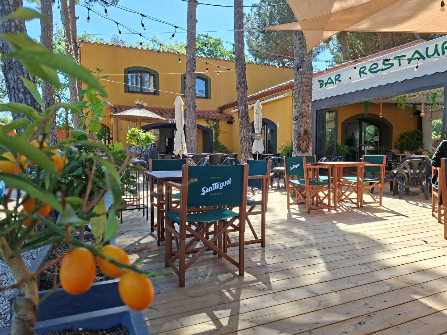Domaine Des Mimosas, photo 32