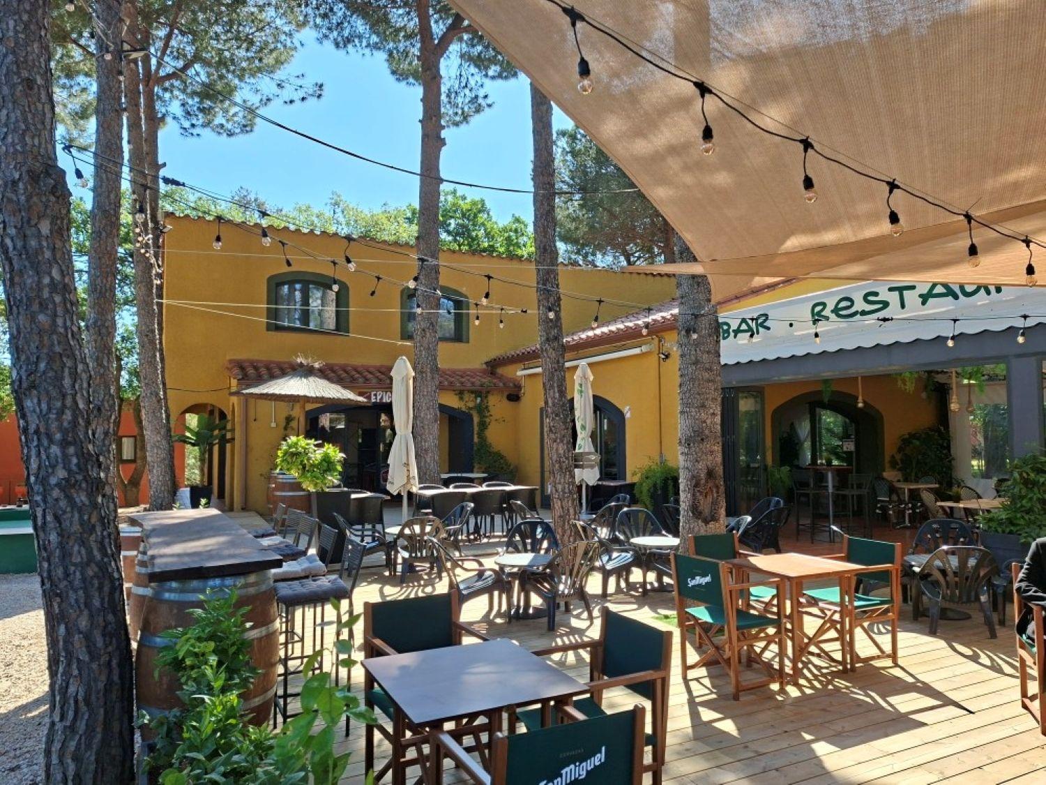 Domaine Des Mimosas, photo 44