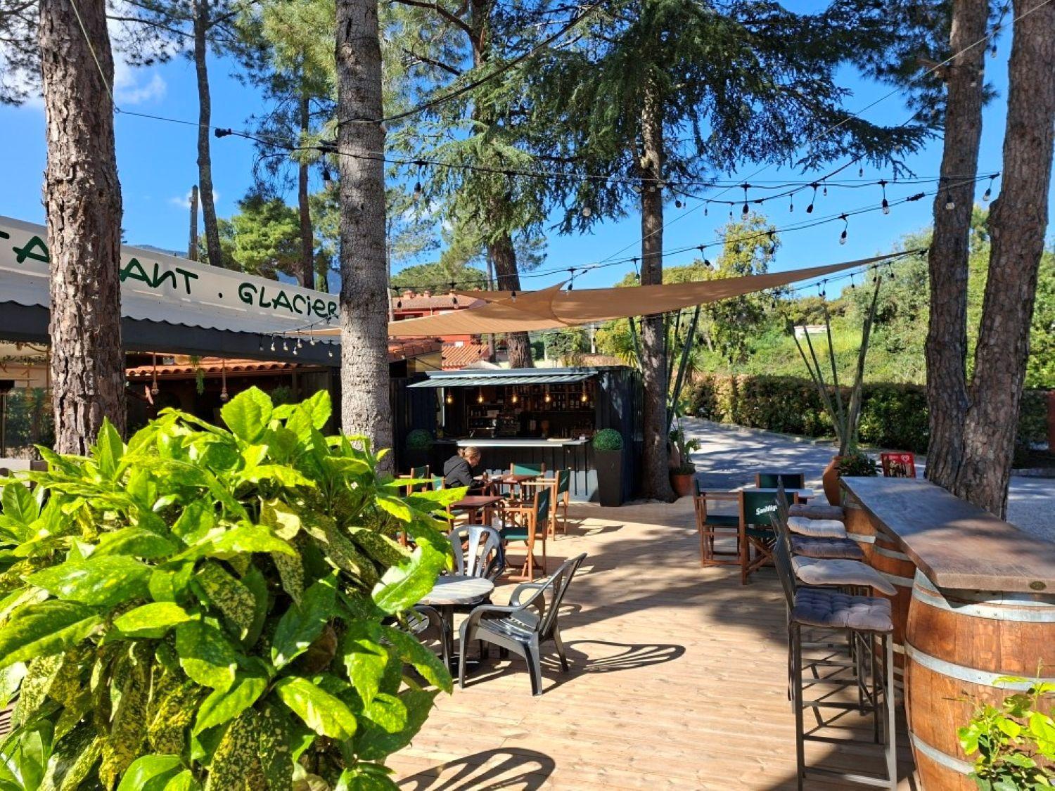 Domaine Des Mimosas, photo 11