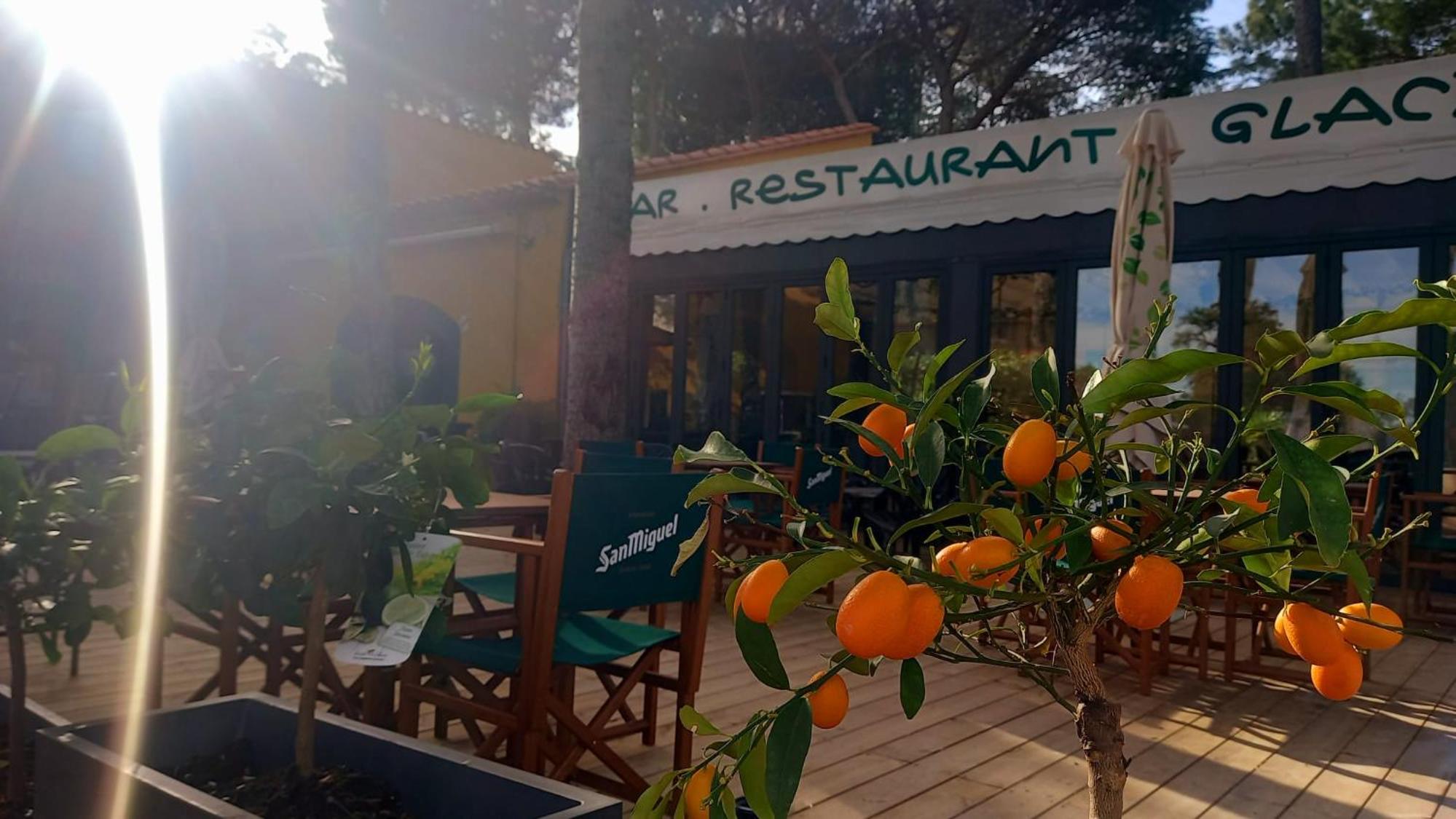 Domaine Des Mimosas, photo 64