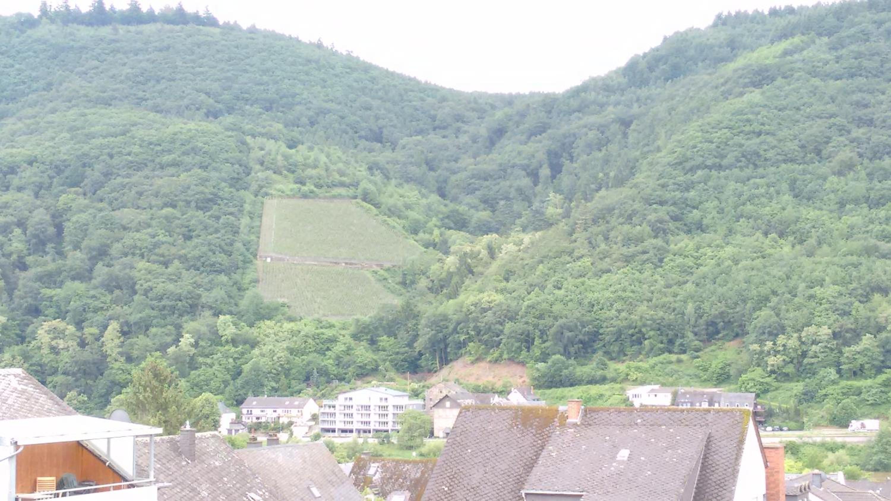 Gästehaus Kiesgen-Mendgen