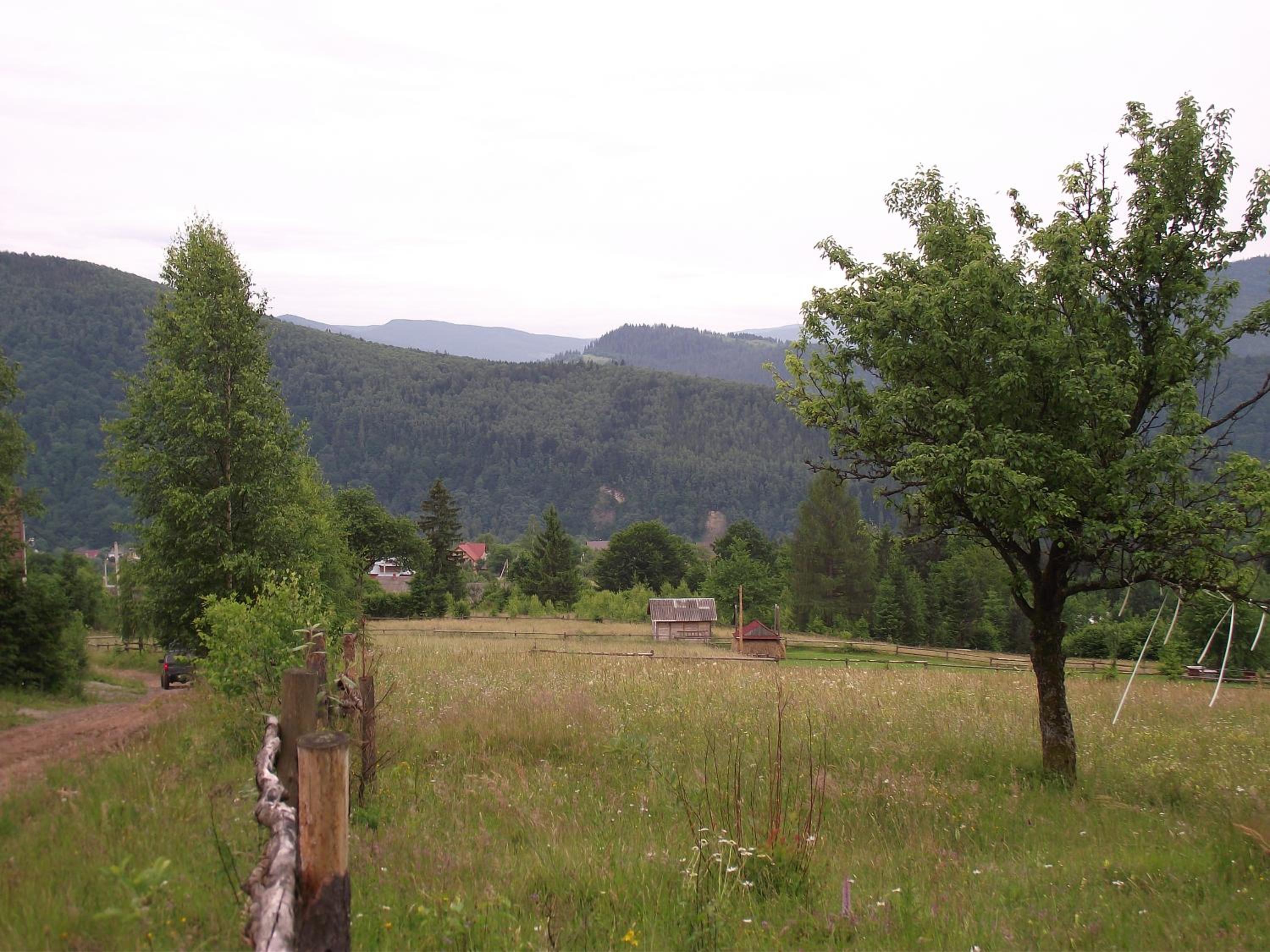 Photo 36