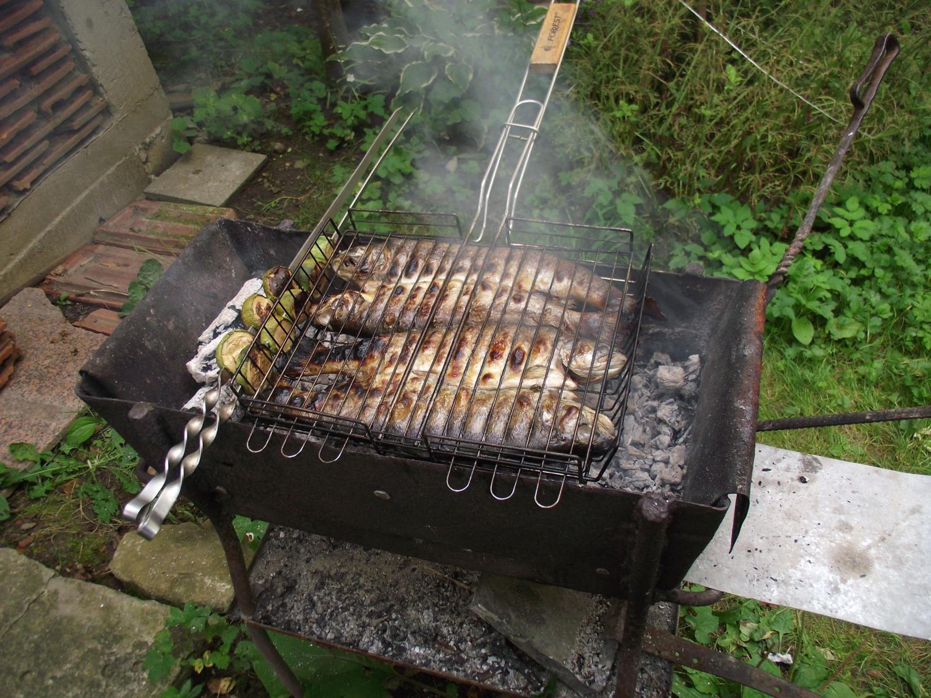 Photo 10
