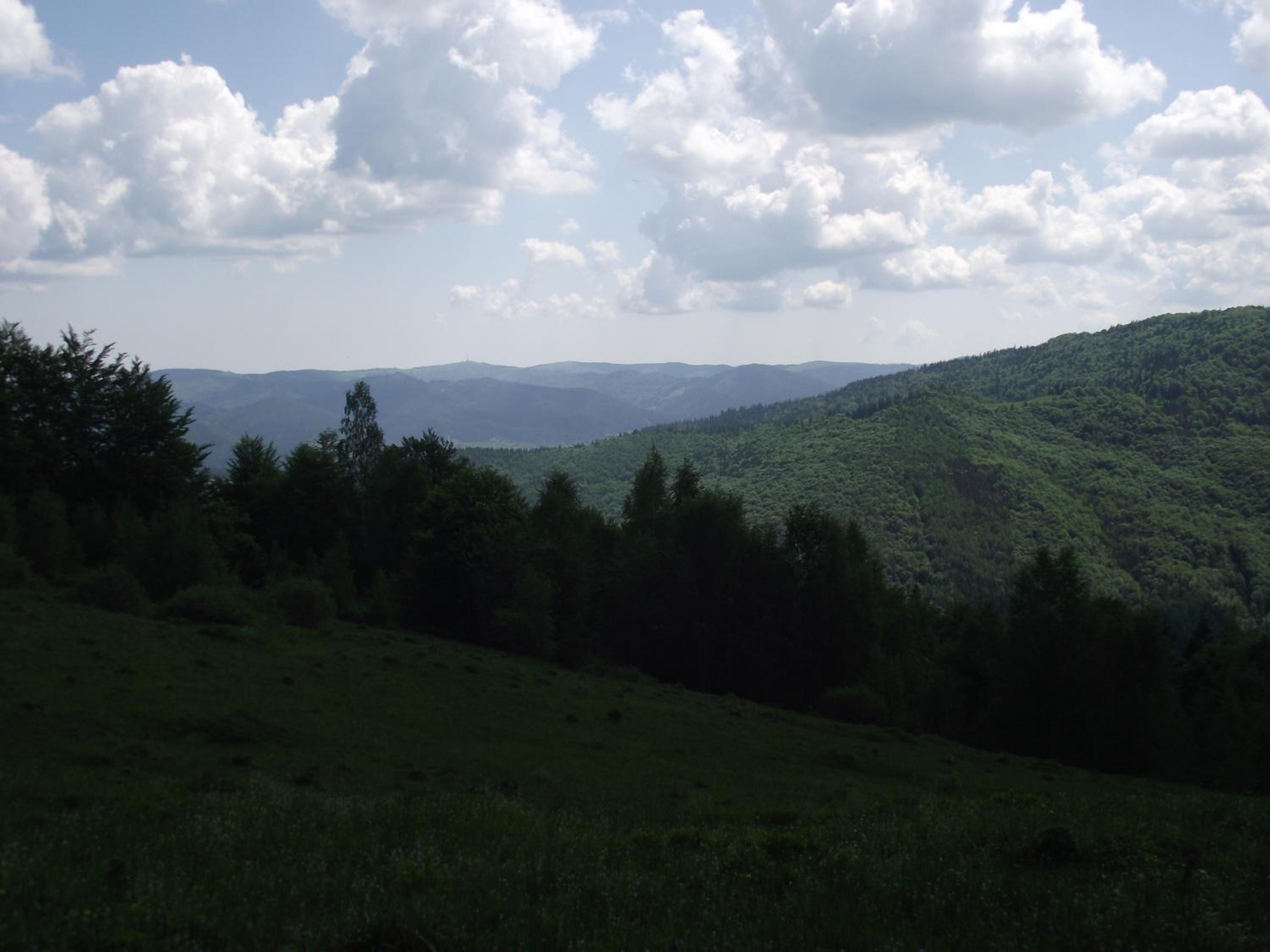 Photo 27