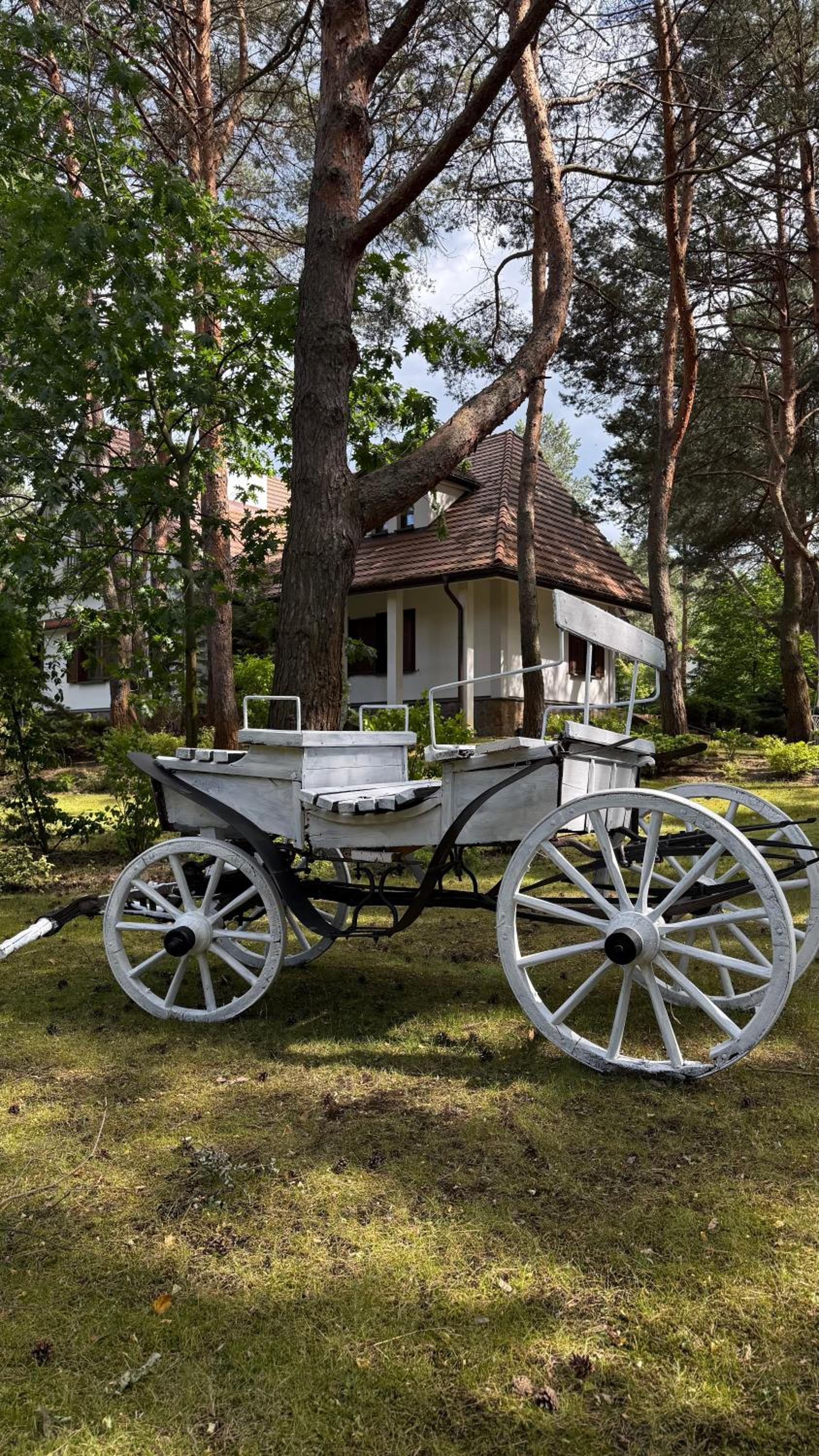 Leśna SPA Willa pod Warszawą Jacuzzi, Sauna, Kominek, Sport & Joga