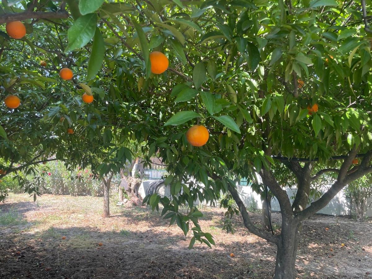 Kouneli's House with Garden