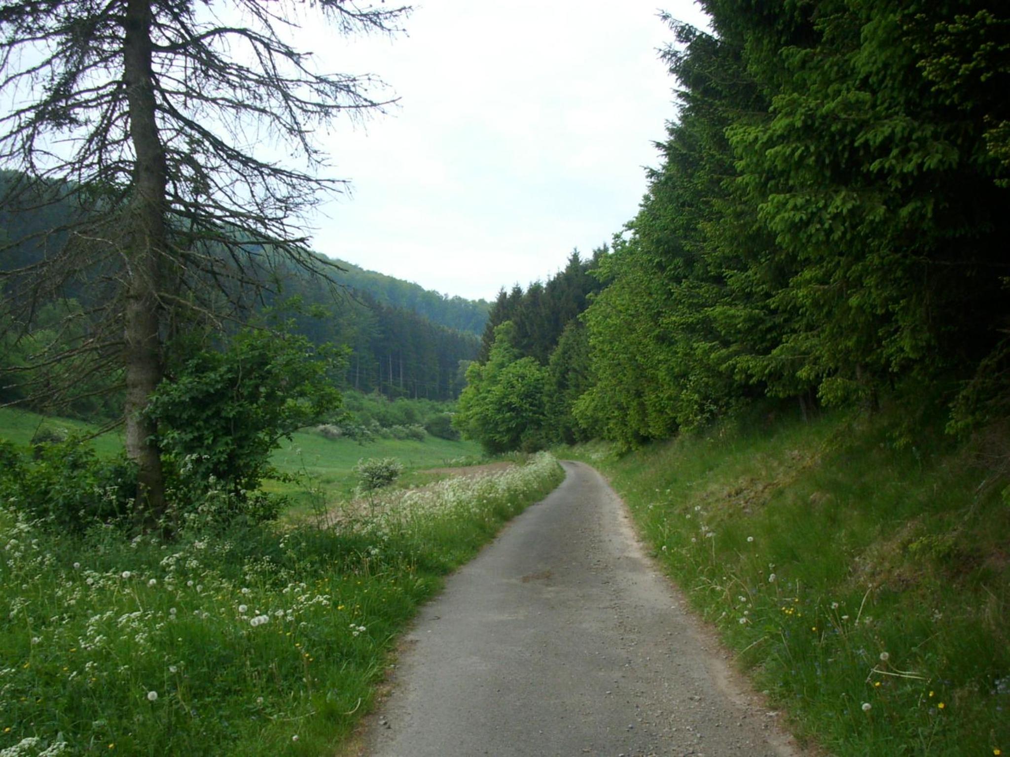 Photo 26