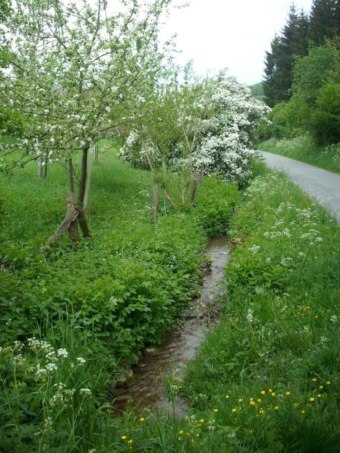 Photo 25
