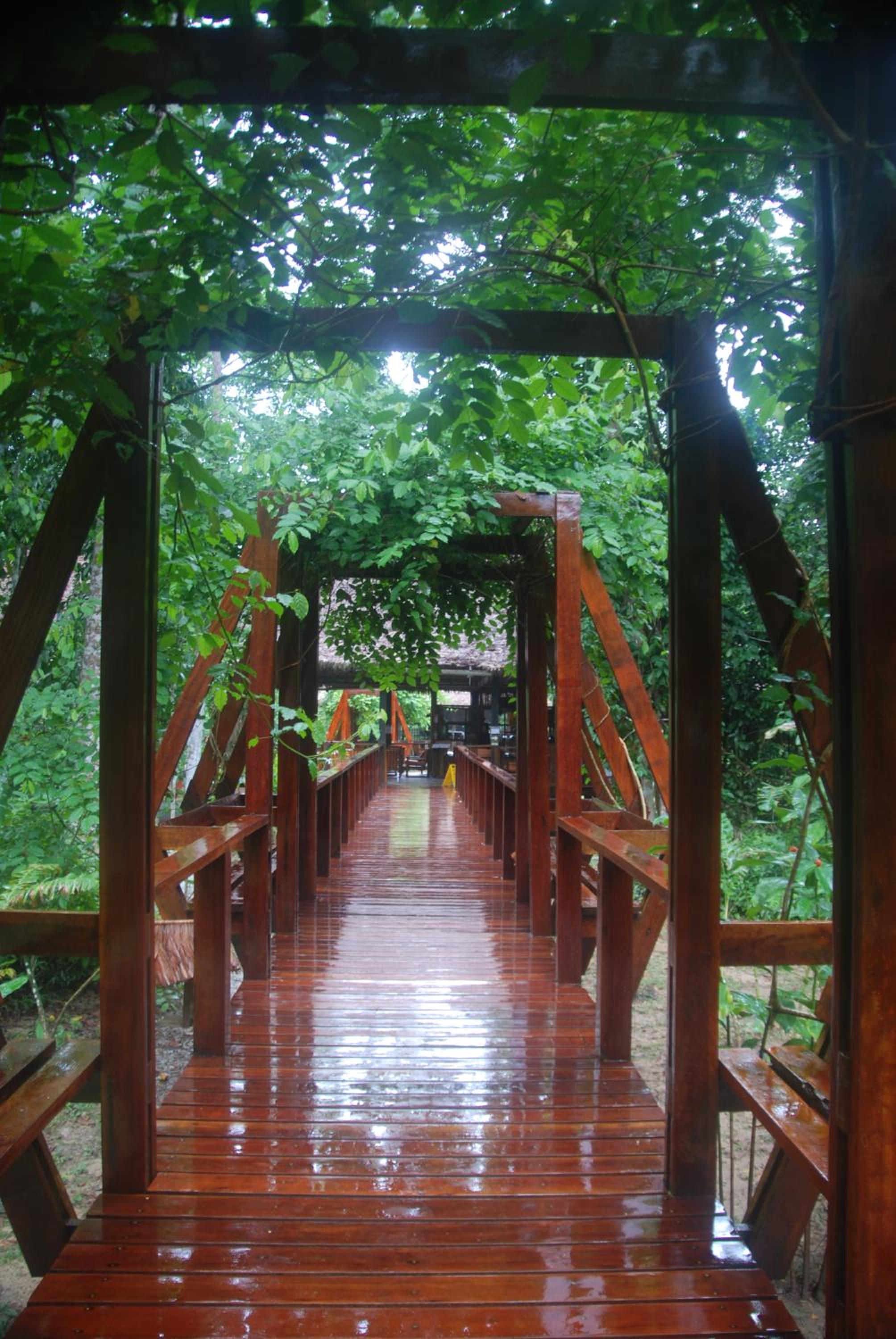 Posada Amazonas Lodge