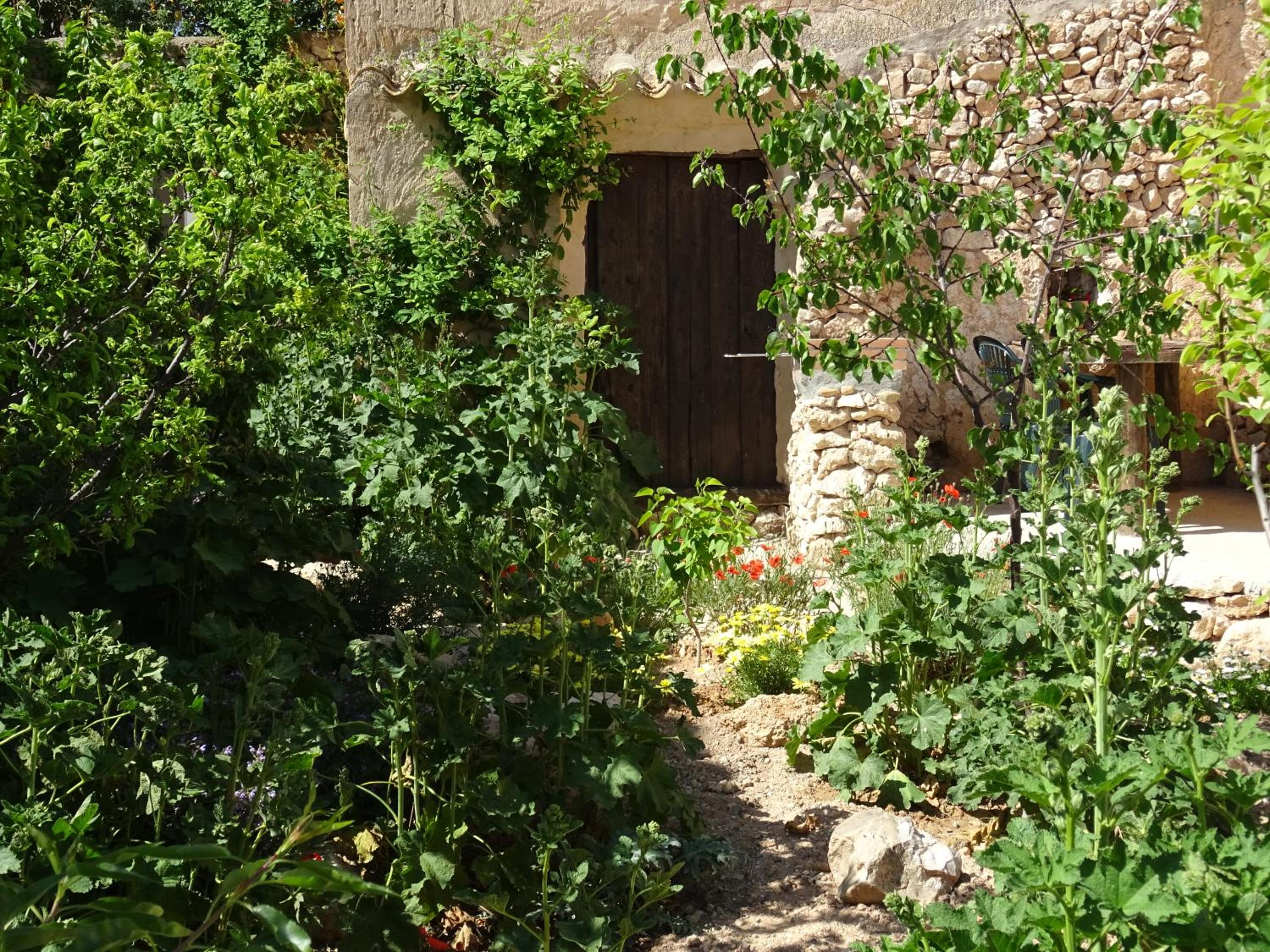 Photo 40