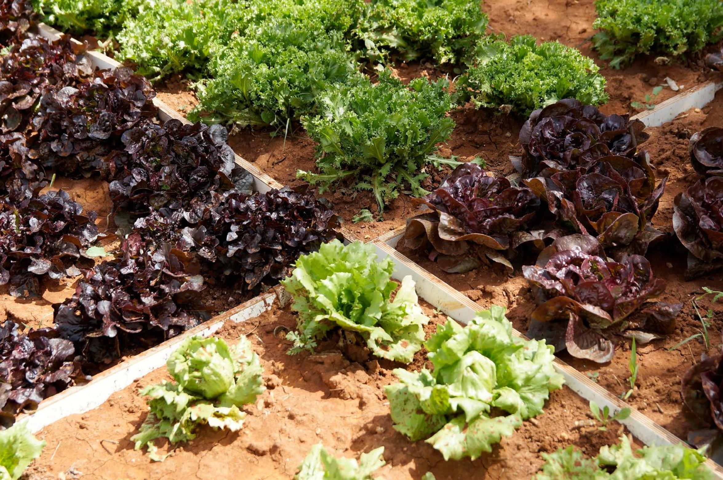 Agriturismo Calamate