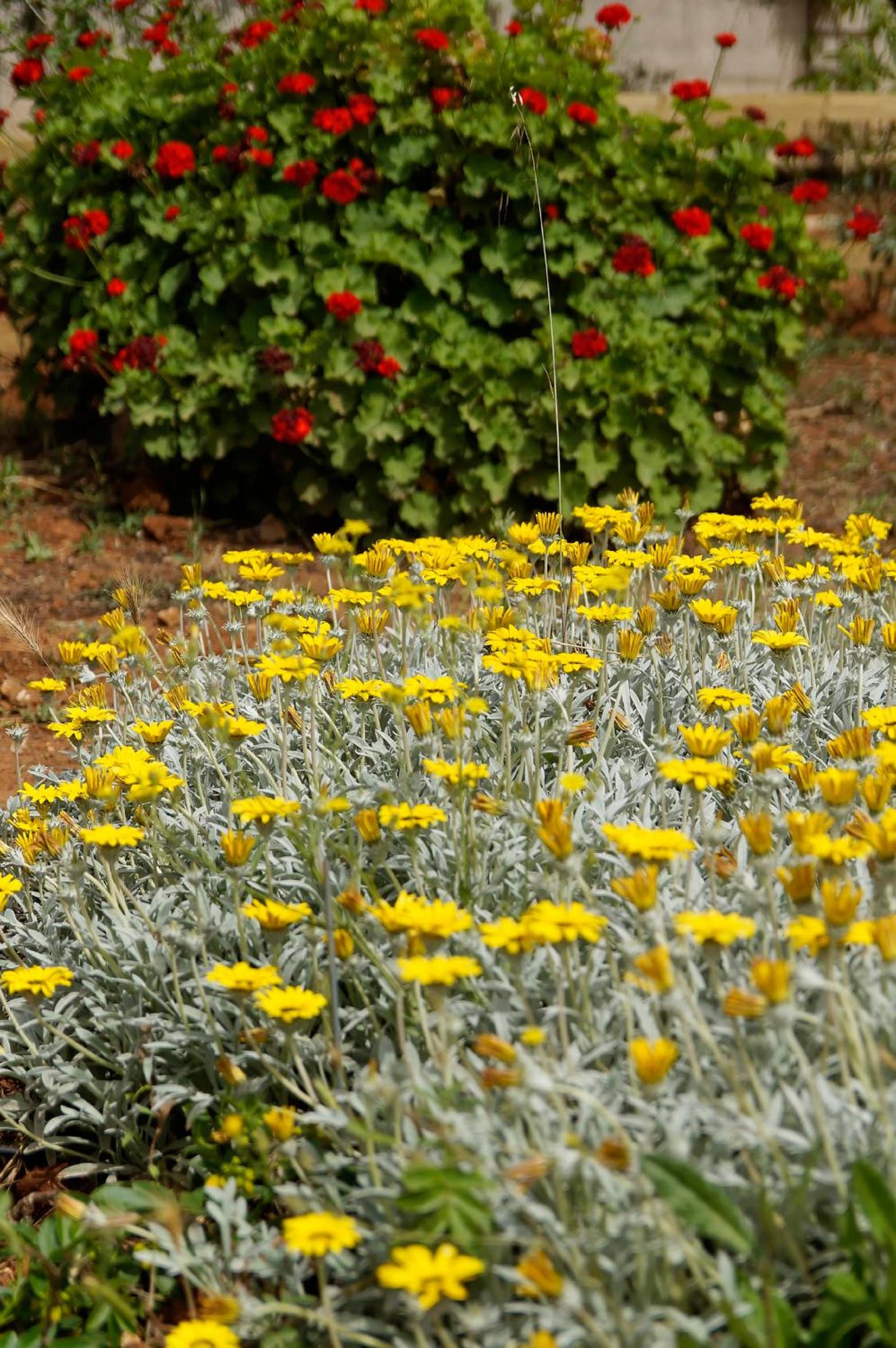 Agriturismo Calamate