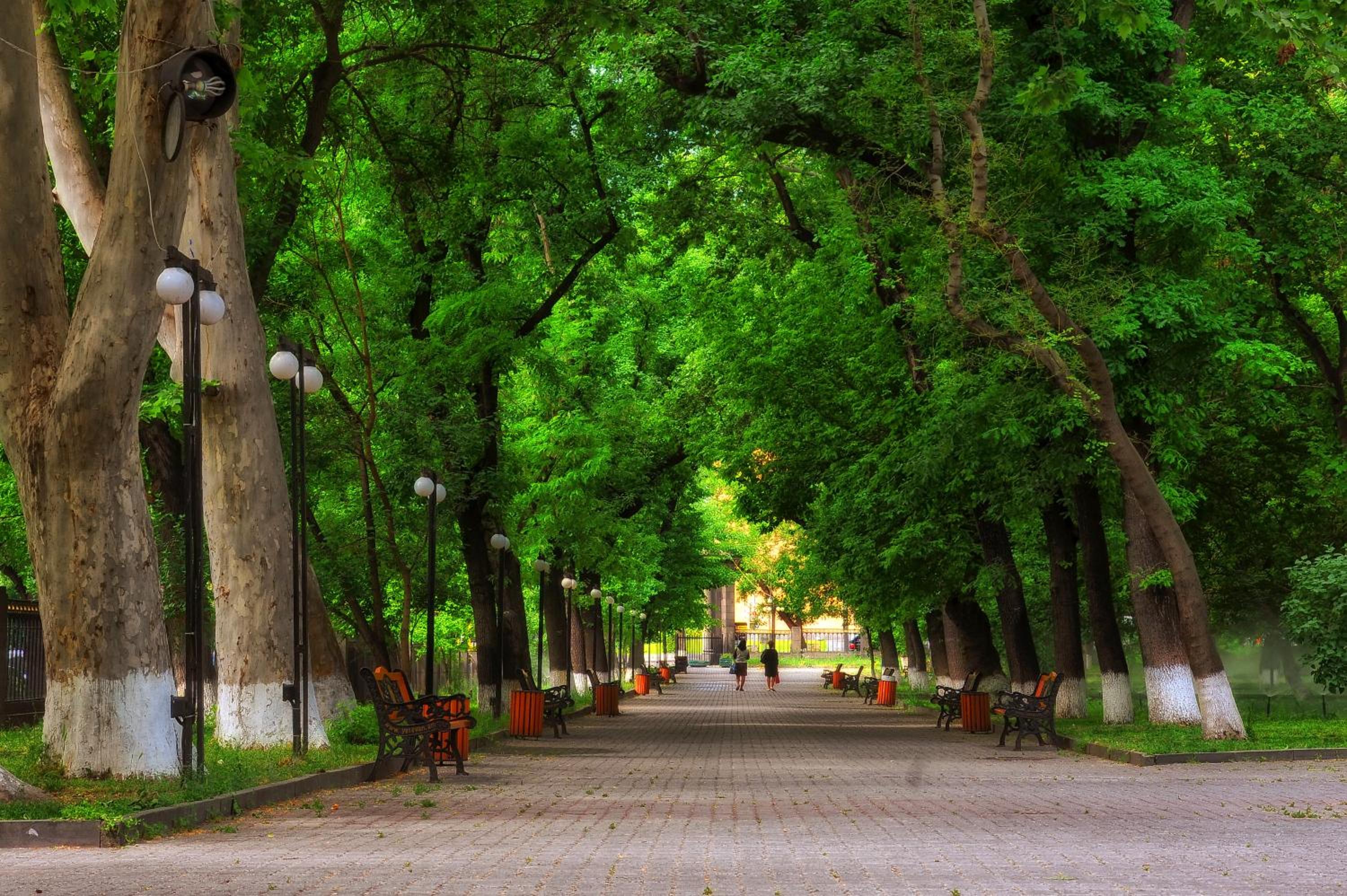 MGA Hostel & Tours