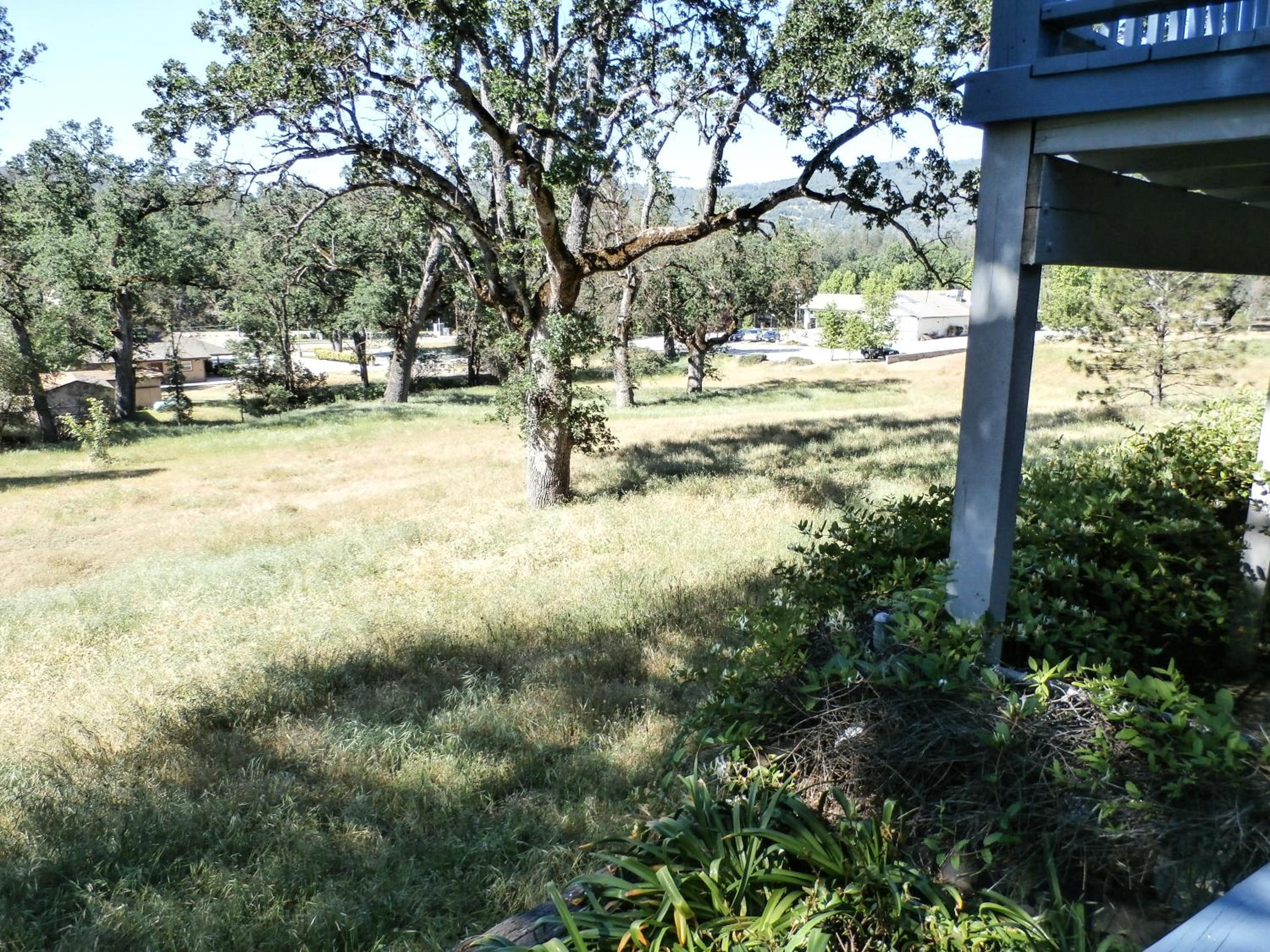 Photo 36