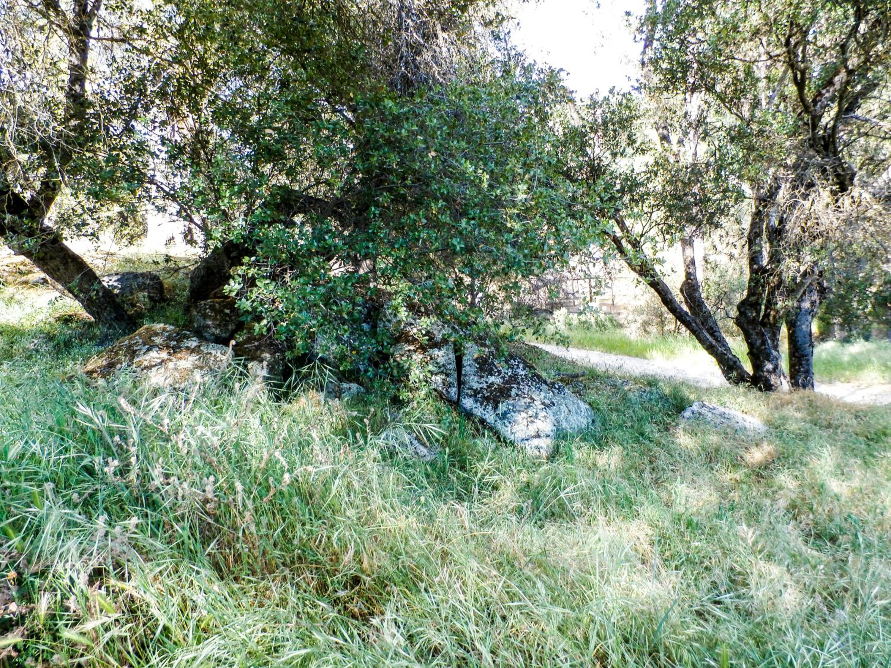 Photo 34
