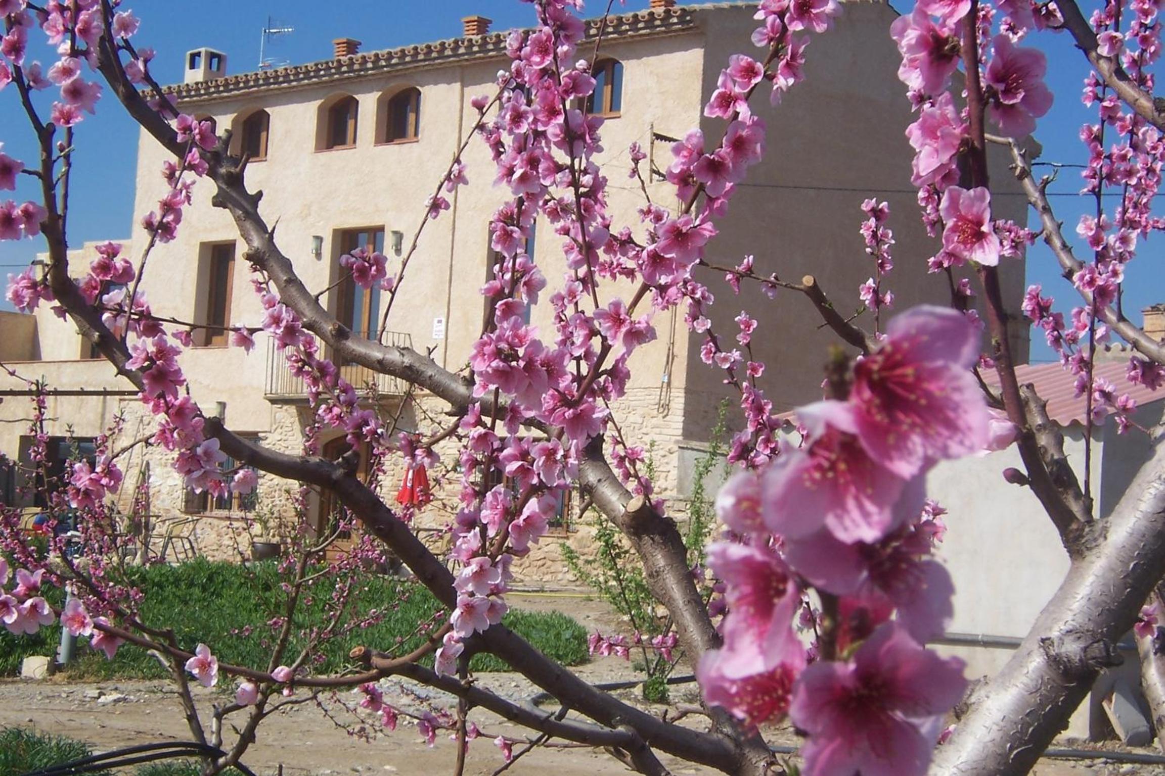 Mas Taniet Hotel Rural