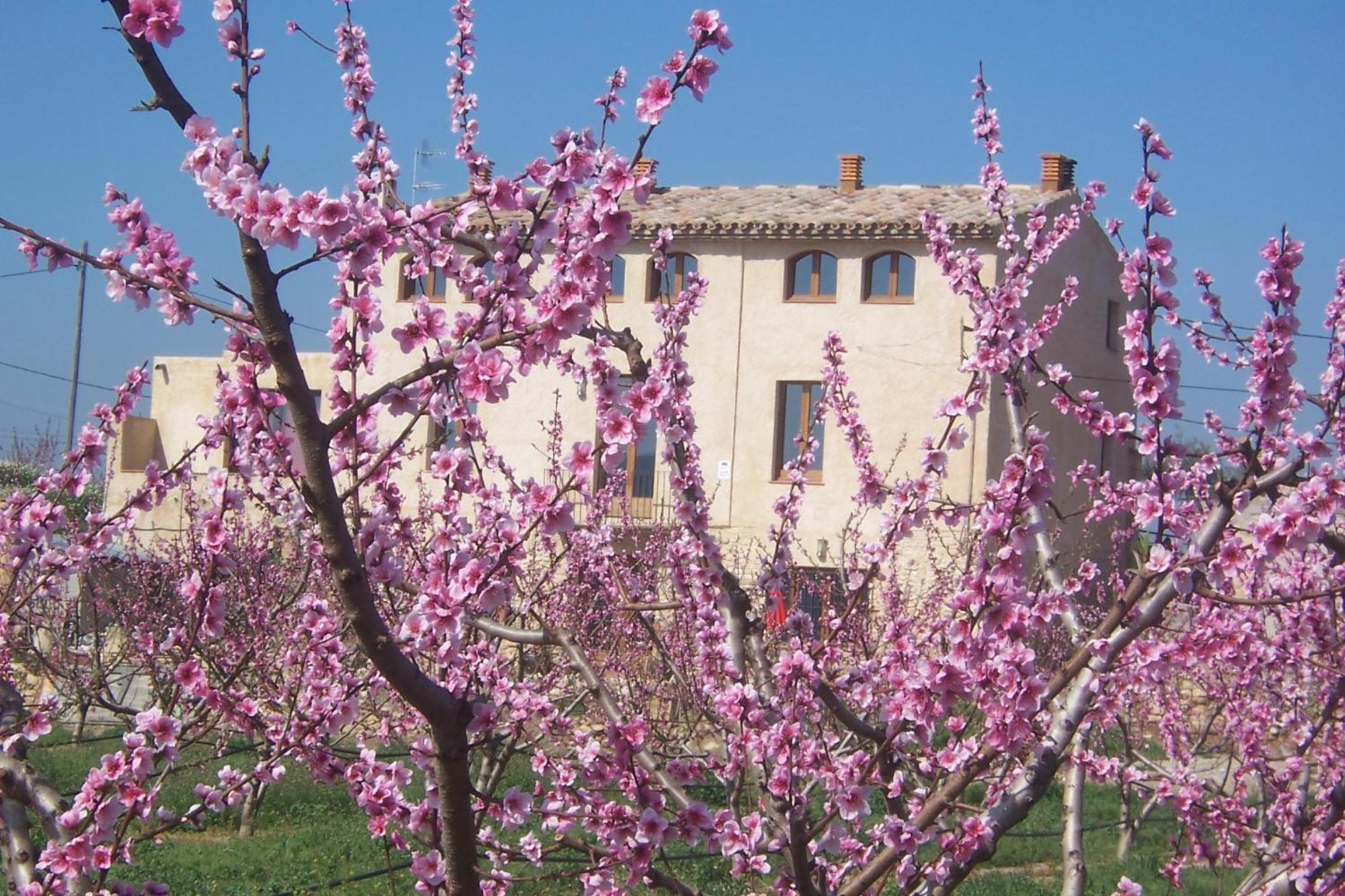 Mas Taniet Hotel Rural
