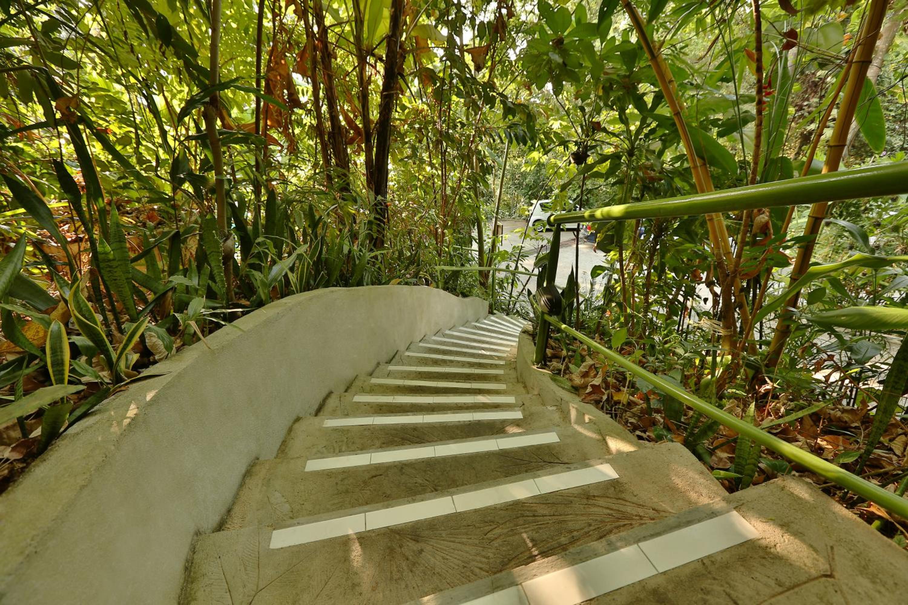 Ambong Rainforest Retreat — photo 55