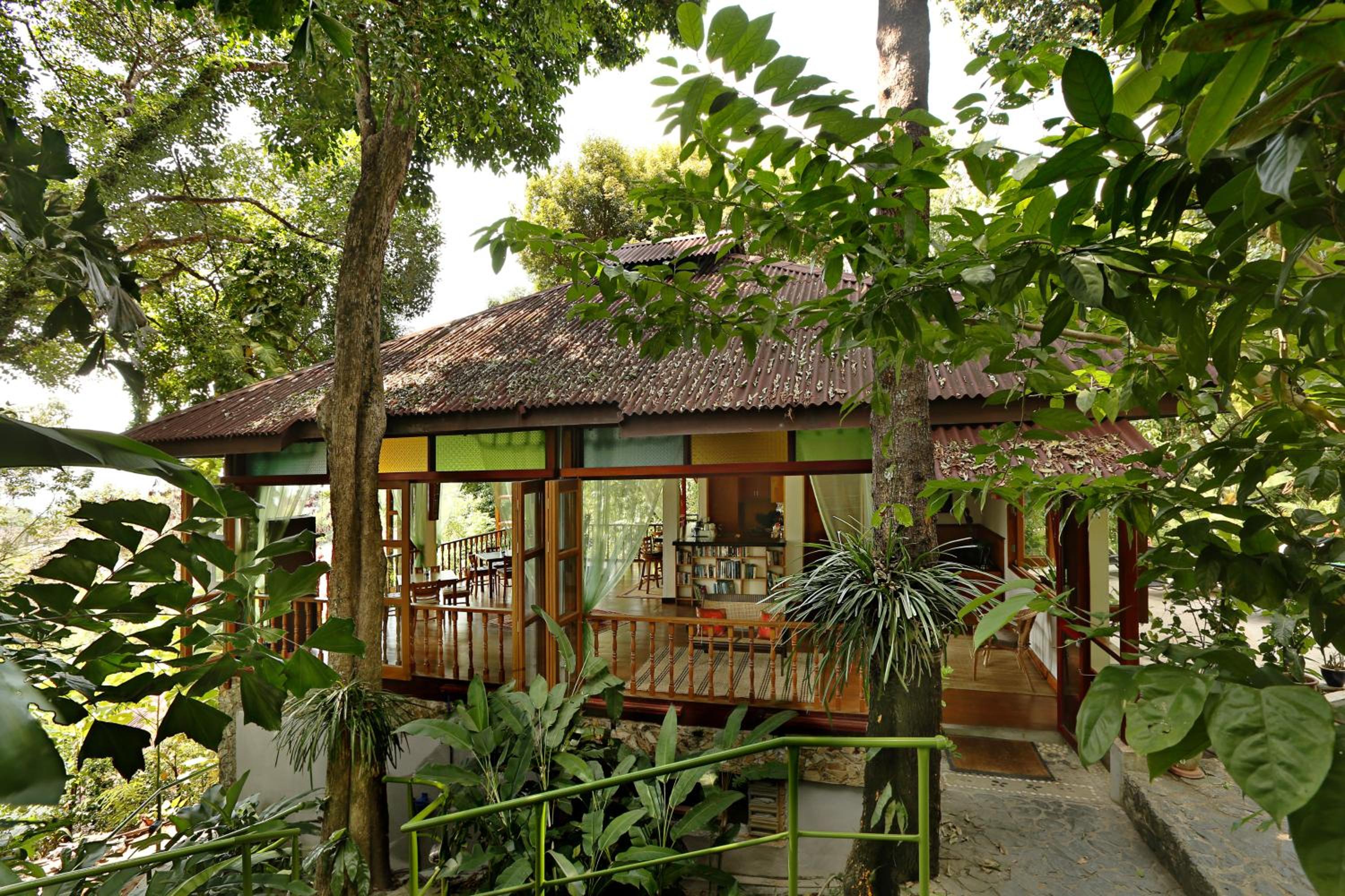 Ambong Rainforest Retreat — photo 69