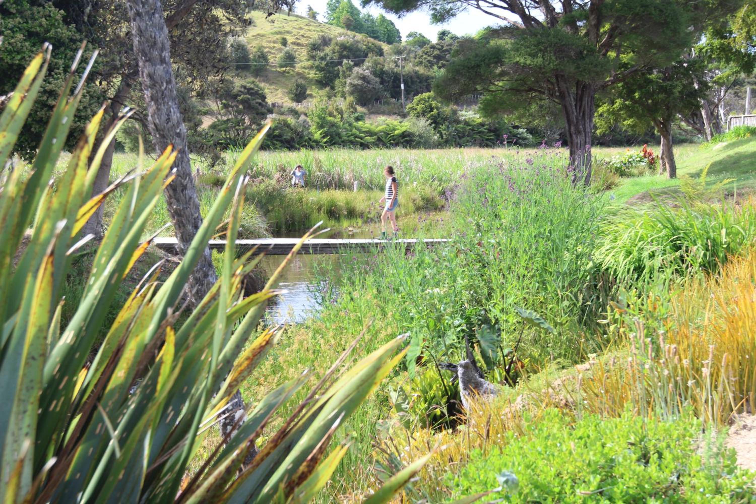Russell-Orongo Bay Holiday Park