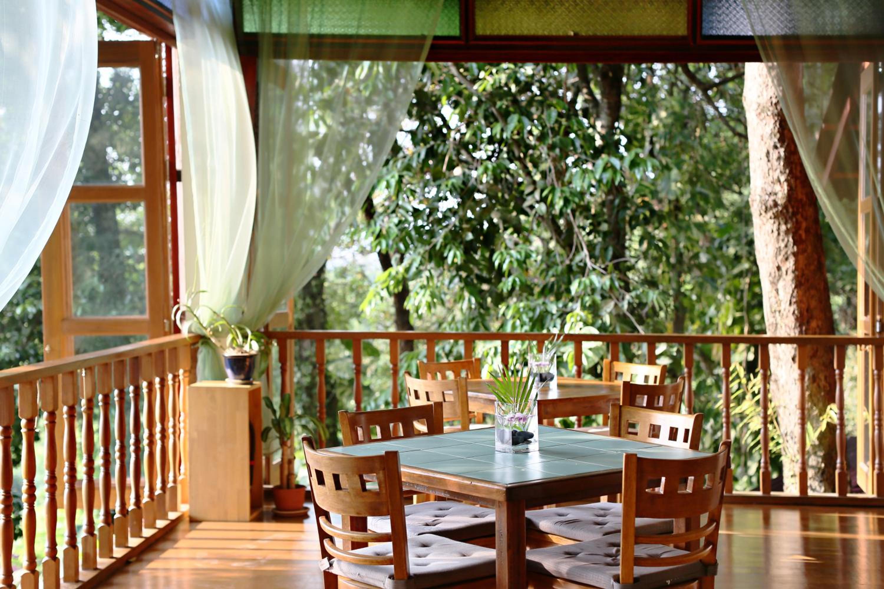 Ambong Rainforest Retreat — photo 37