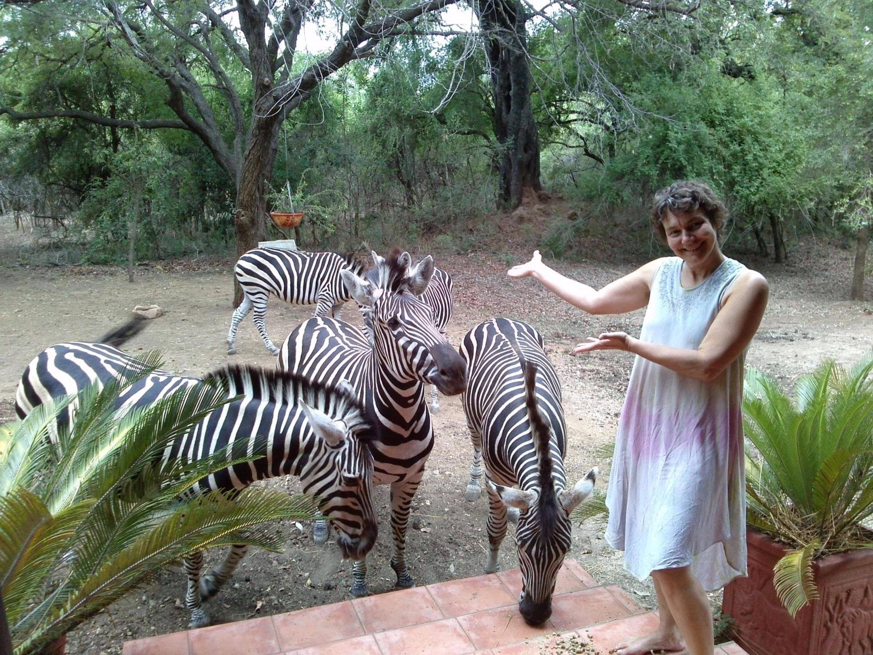 Kruger Safari Animal Encounter