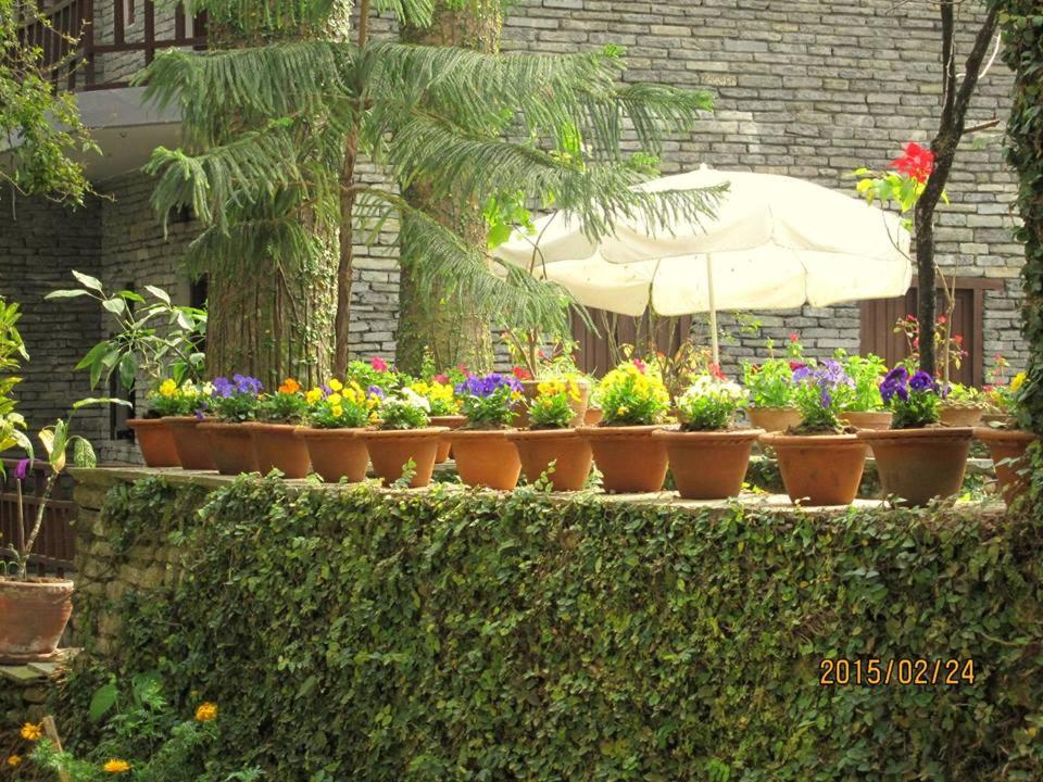 Photo 41