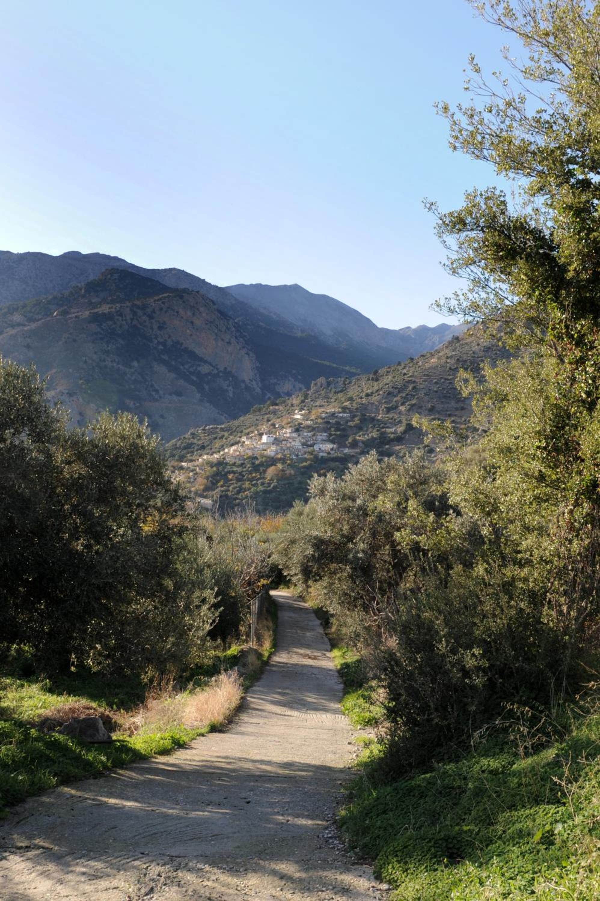 Mala Villa