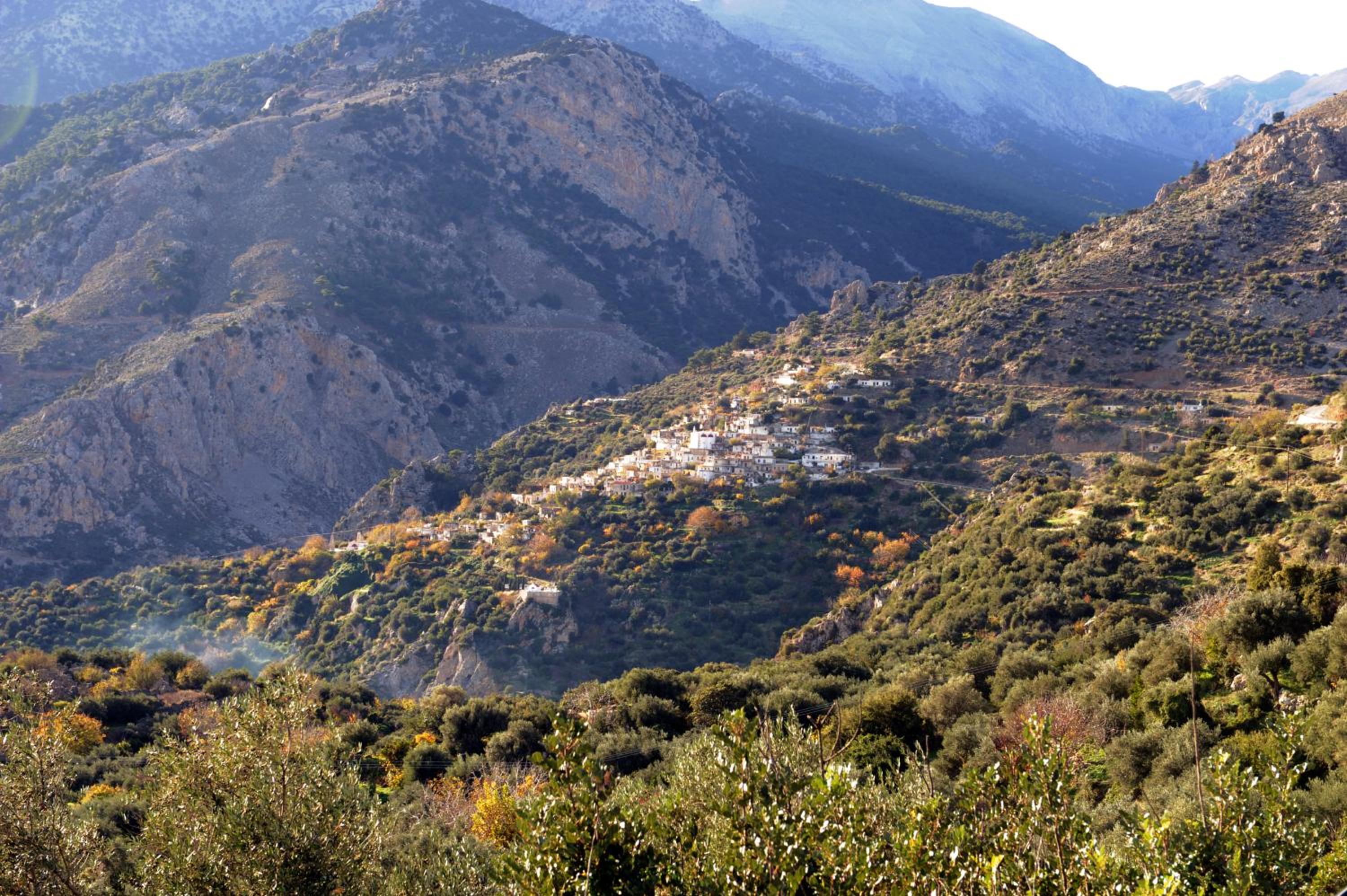 Mala Villa