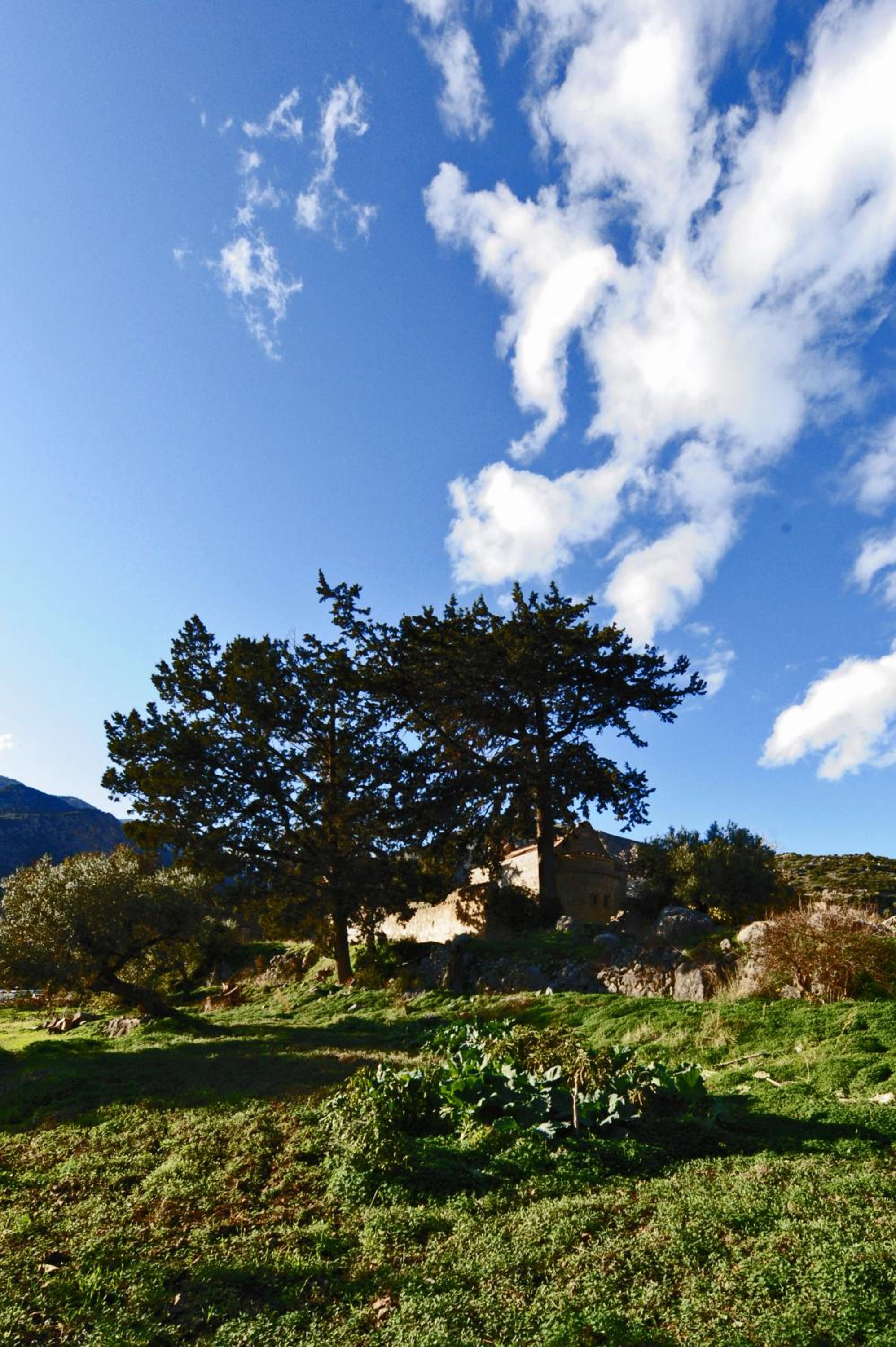 Mala Villa