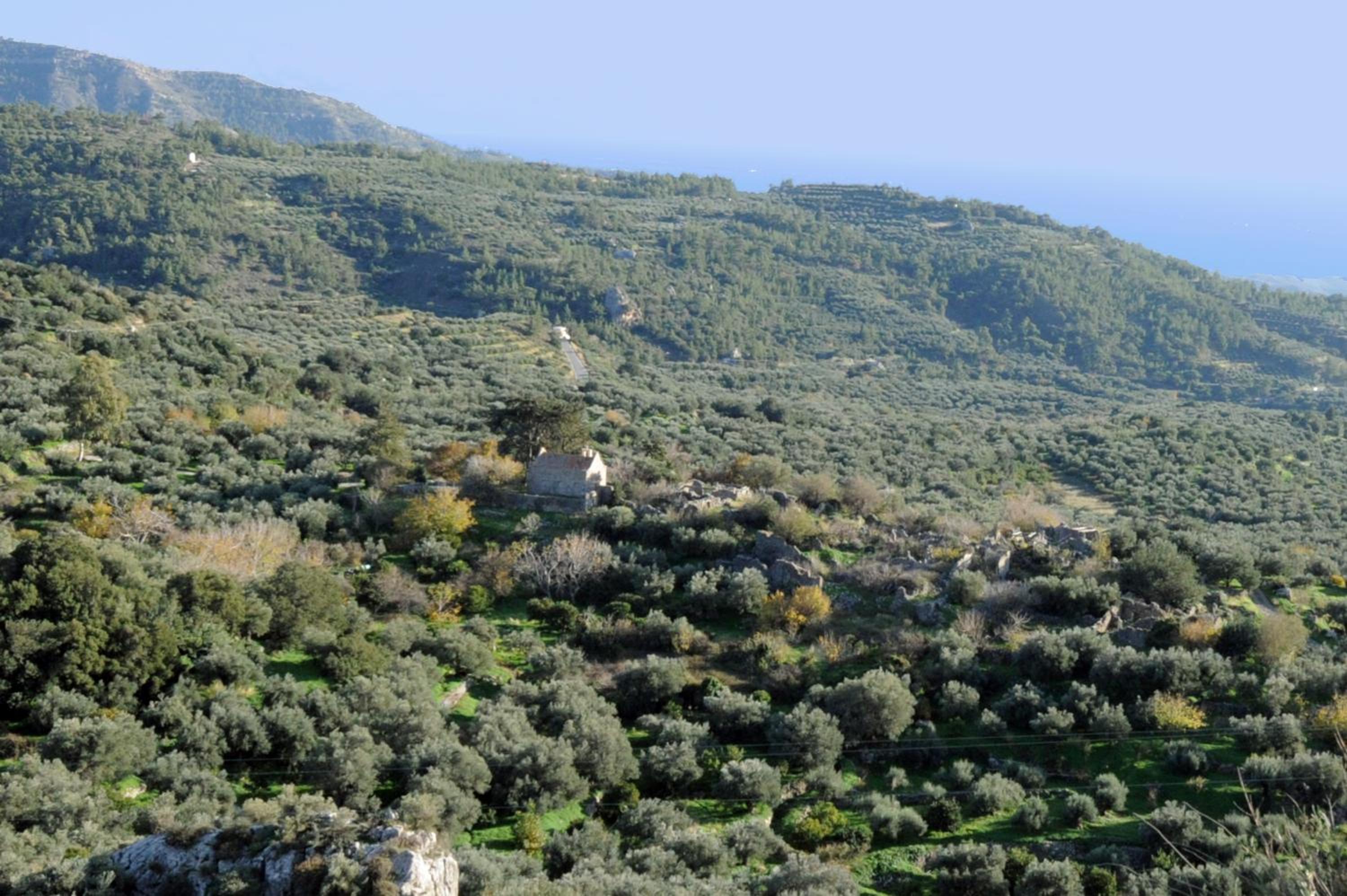 Mala Villa