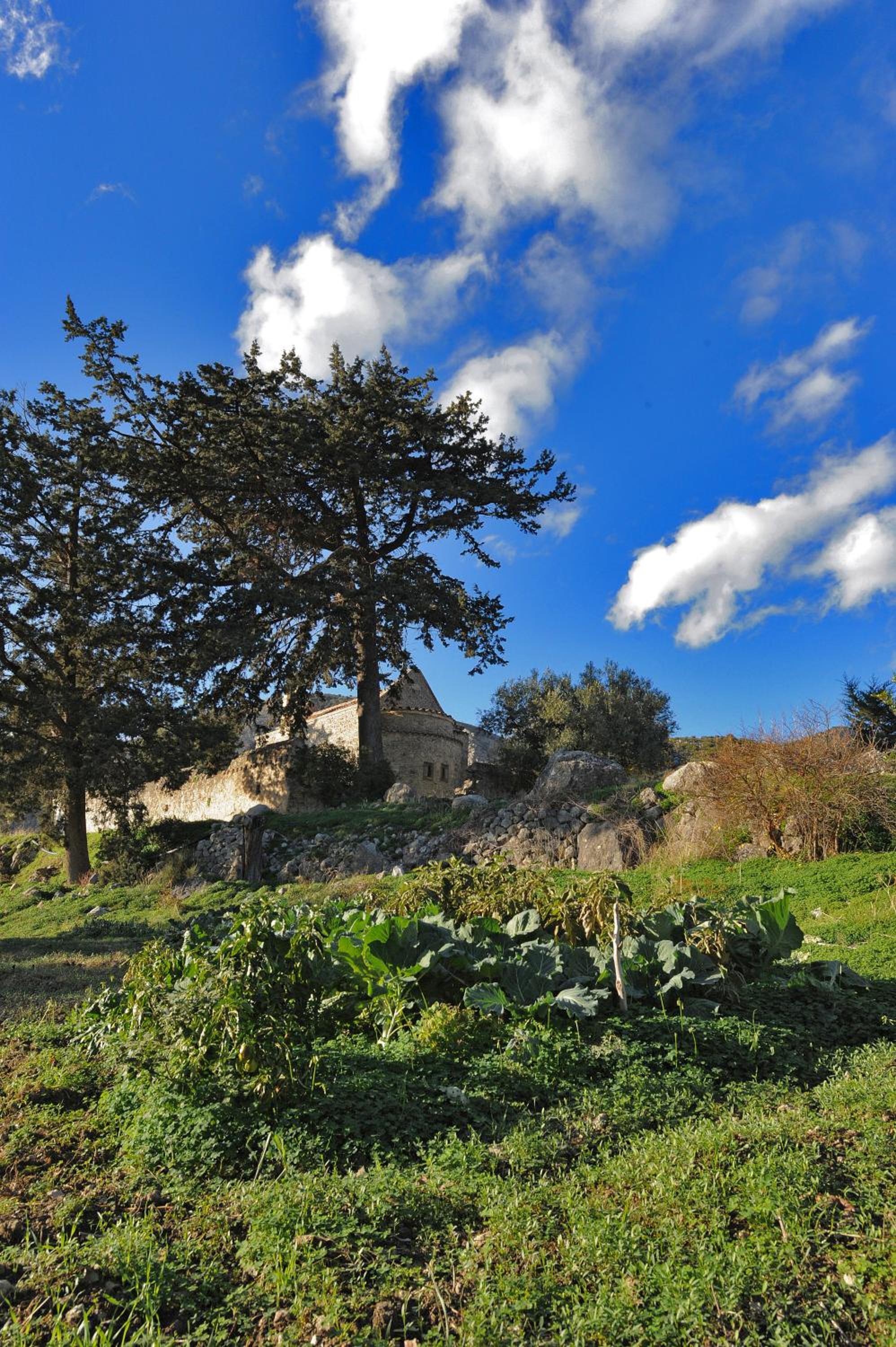Mala Villa