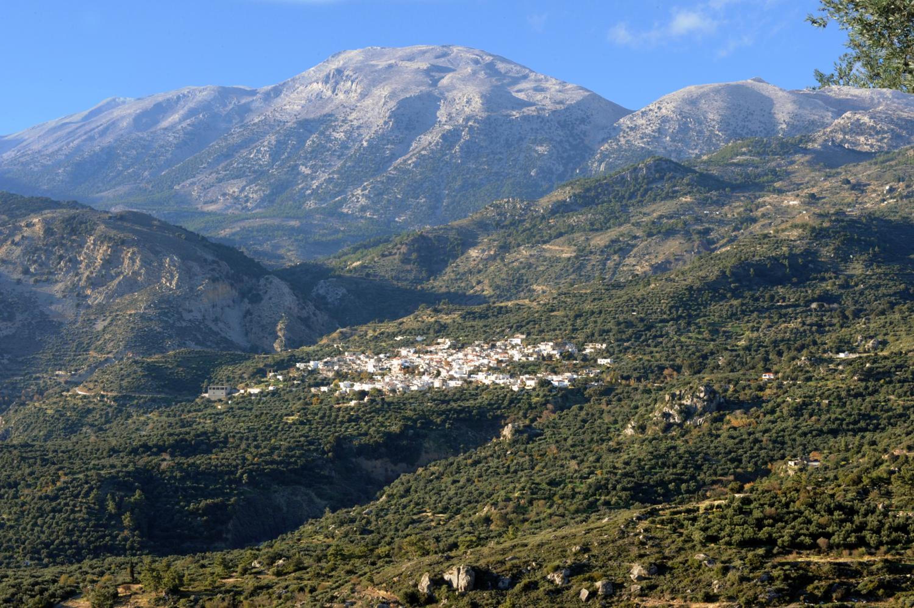 Mala Villa