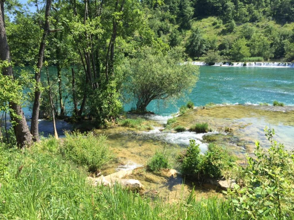 Photo 29