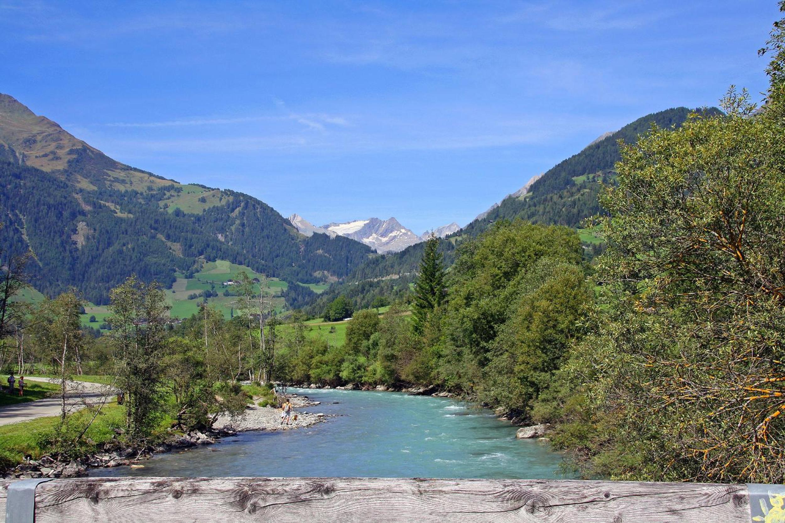 Gasthof Pension Rose
