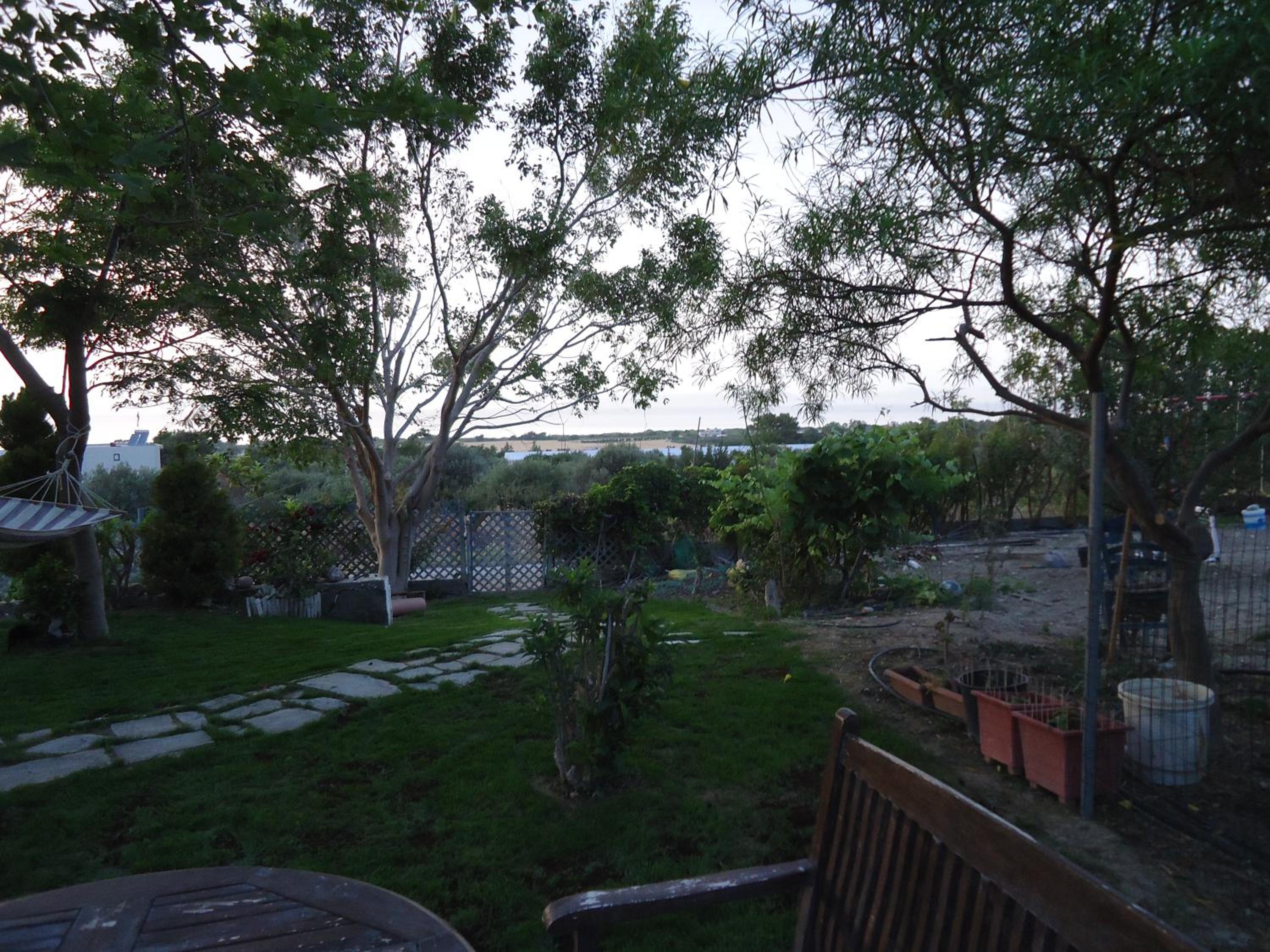 Photo 48