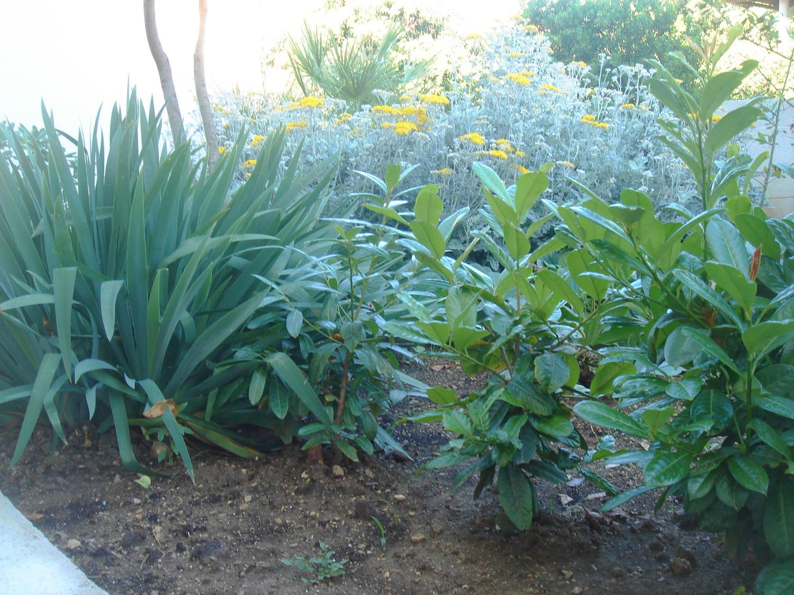 Photo 23