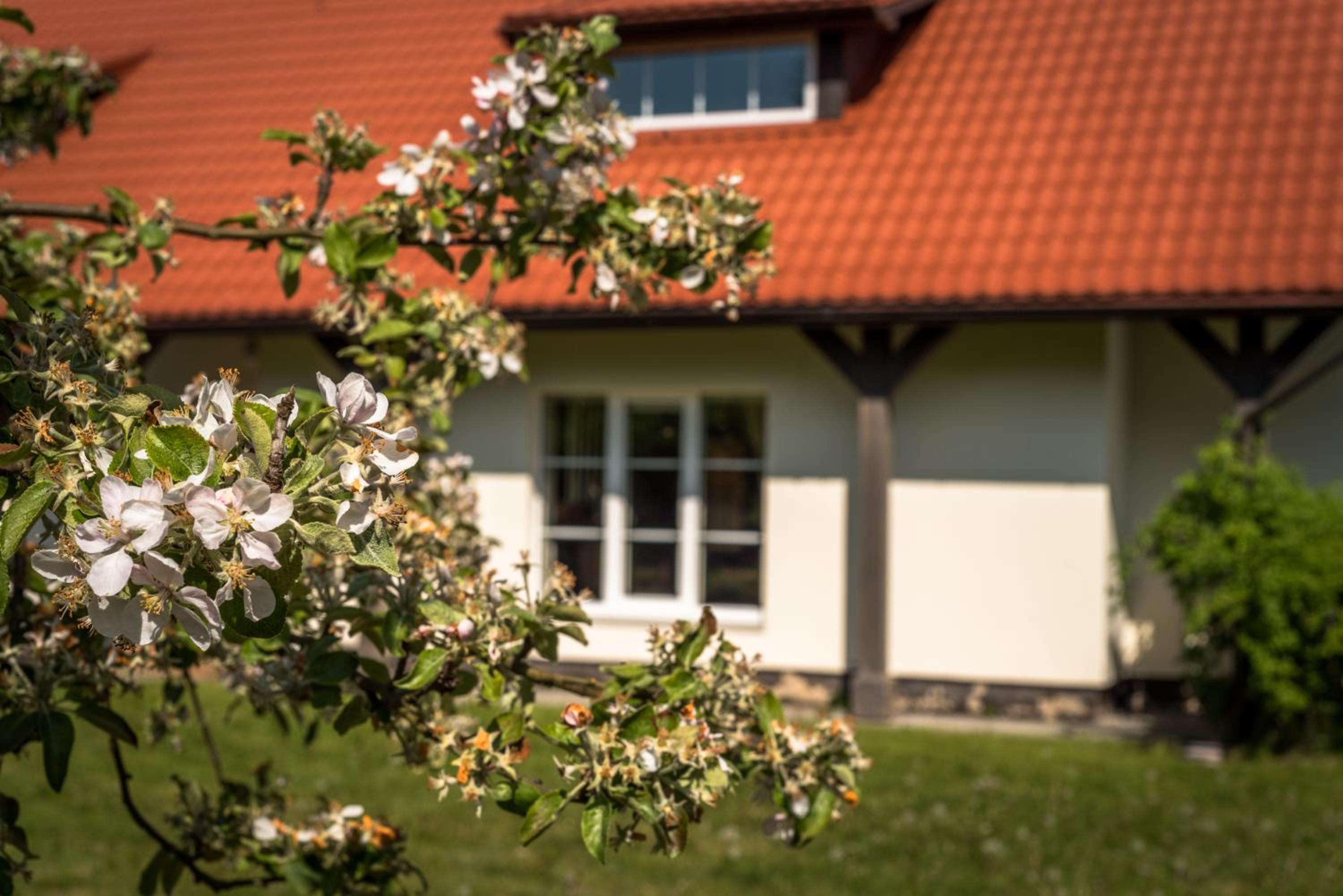 Karklės Villa - Prie Jūros view 4