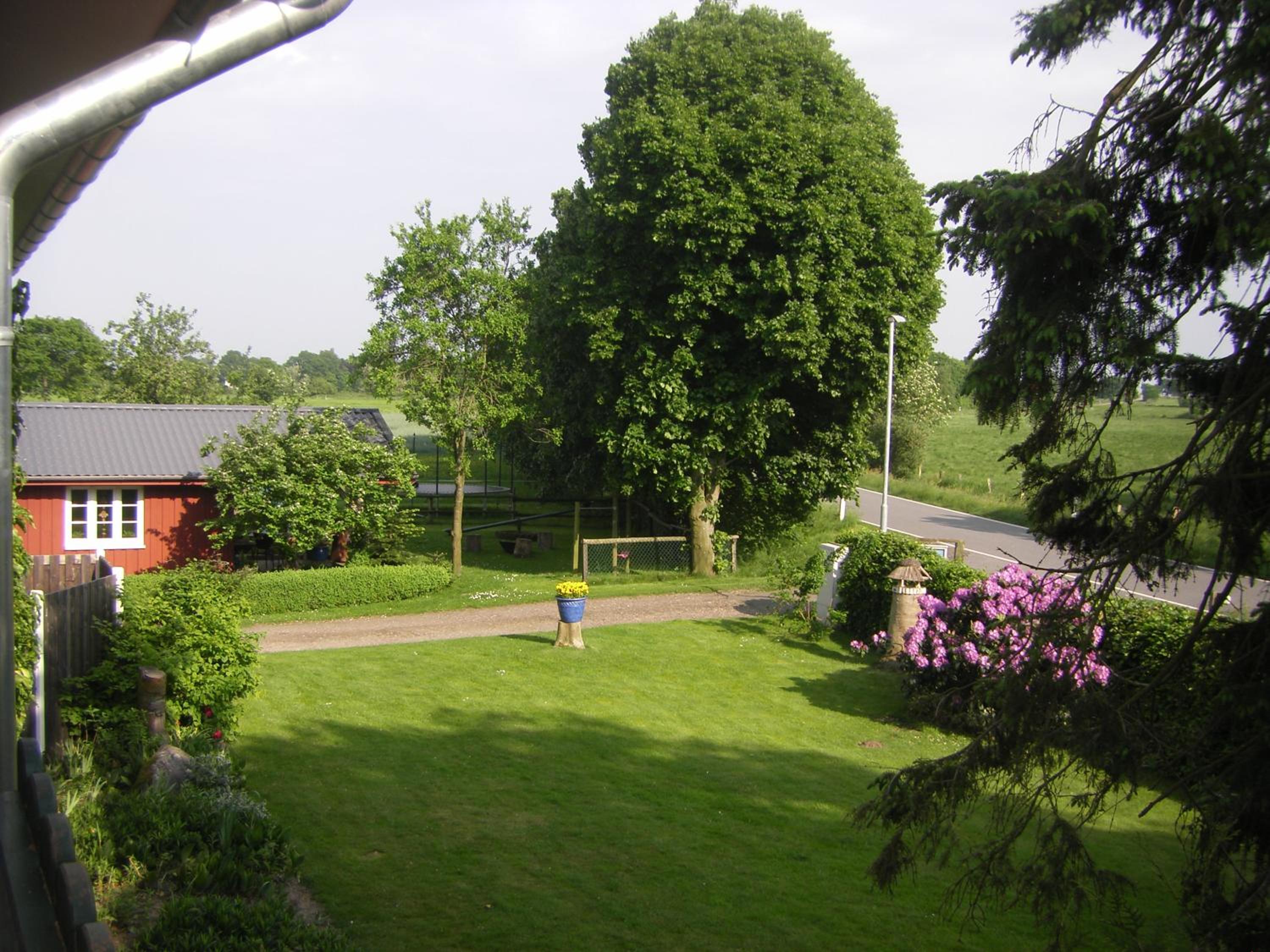 Photo 50