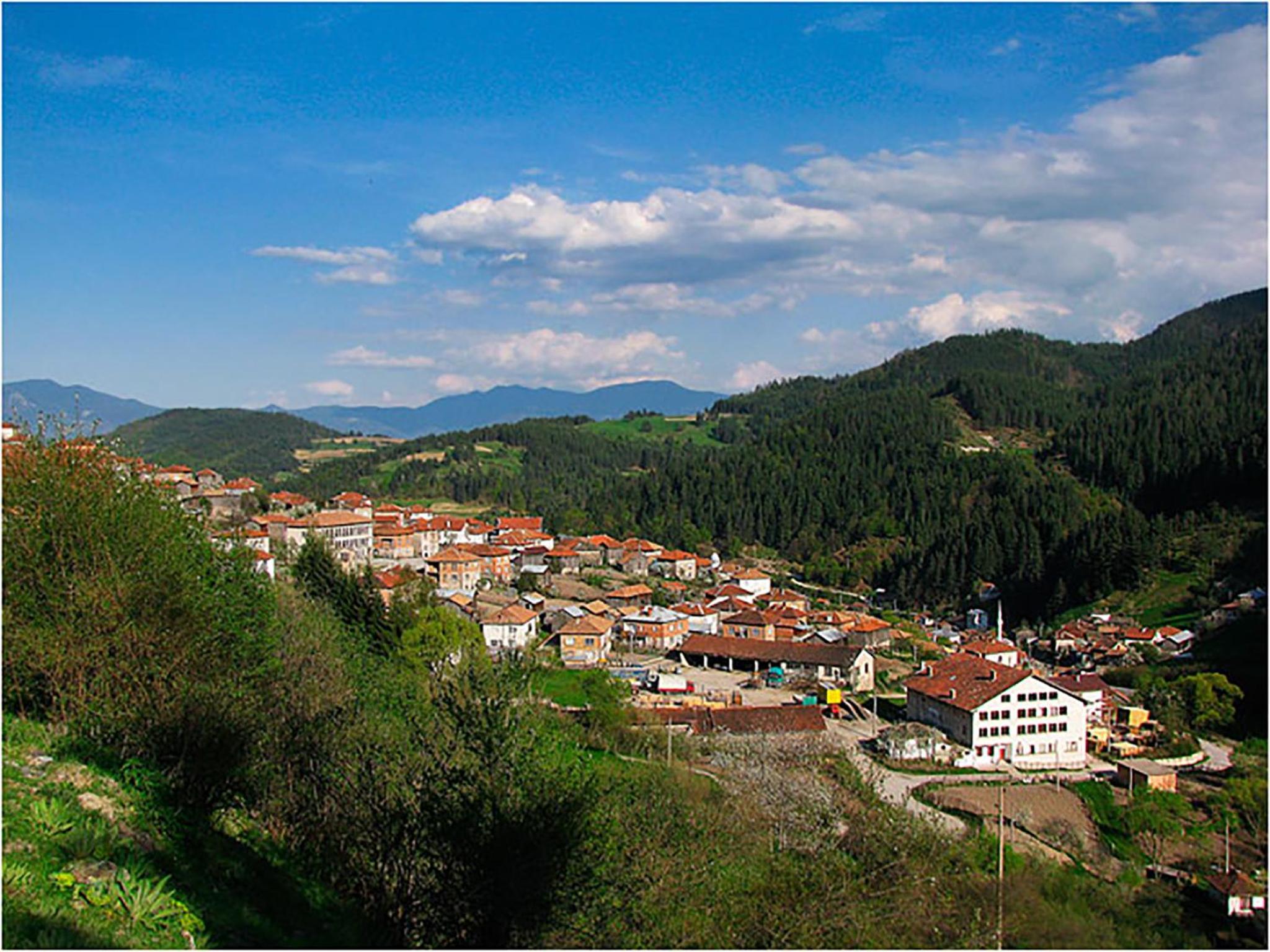 Family hotel Valchanovata Kashta