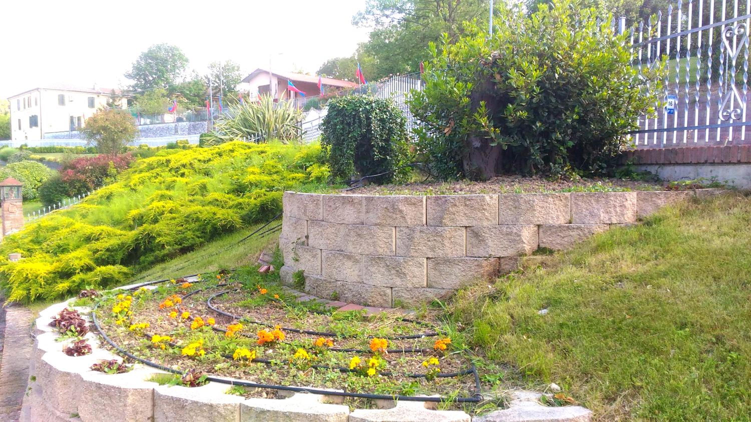 Photo 38