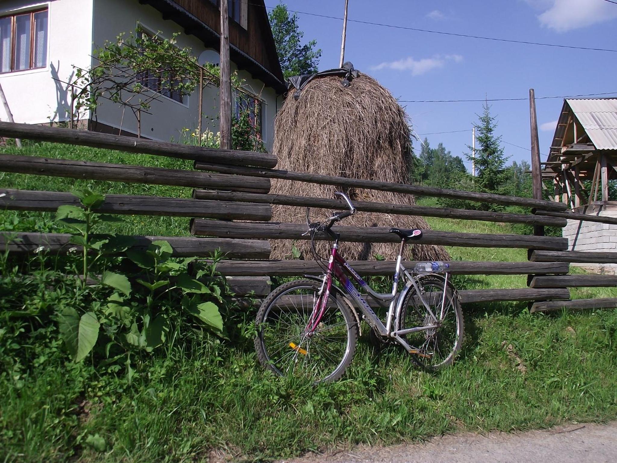 Photo 23