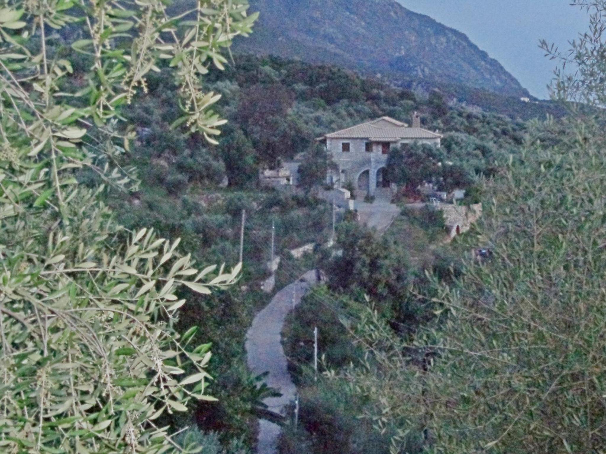 Photo 100